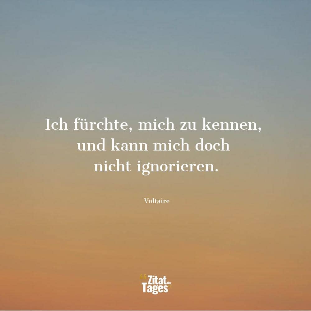 Ich fürchte, mich zu kennen, und kann mich doch nicht ignorieren. - Voltaire