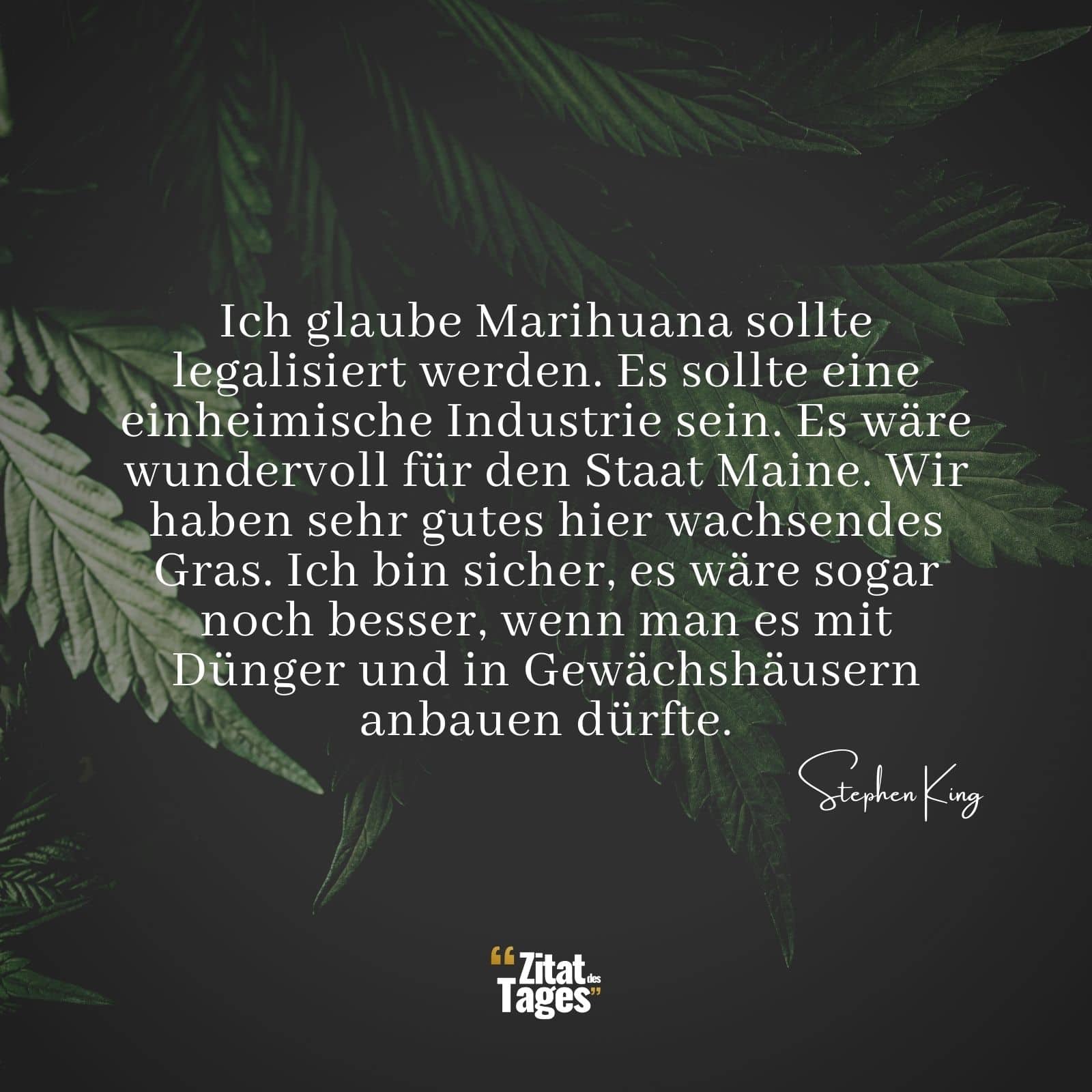 Ich glaube Marihuana sollte legalisiert werden. Es sollte eine einheimische Industrie sein. Es wäre wundervoll für den Staat Maine. Wir haben sehr gutes hier wachsendes Gras. Ich bin sicher, es wäre sogar noch besser, wenn man es mit Dünger und in Gewächshäusern anbauen dürfte. - Stephen King