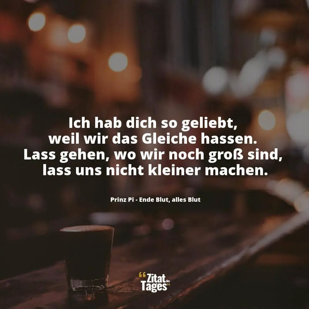 Ich hab dich so geliebt, weil wir das Gleiche hassen. Lass gehen, wo wir noch groß sind, lass uns nicht kleiner machen. - Prinz Pi