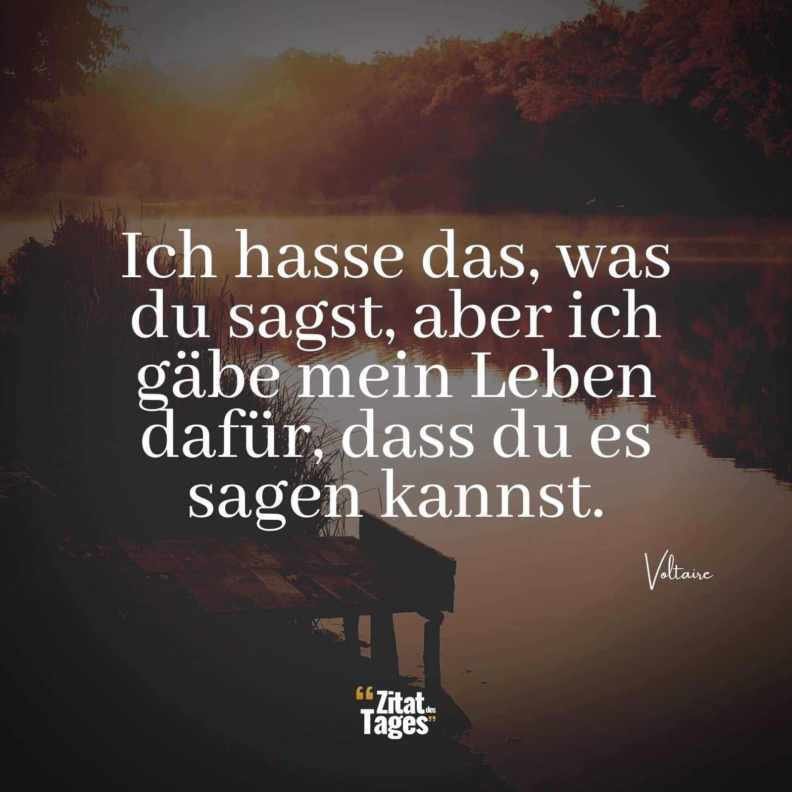 Ich hasse das, was du sagst, aber ich gäbe mein Leben dafür, dass du es sagen kannst. - Voltaire