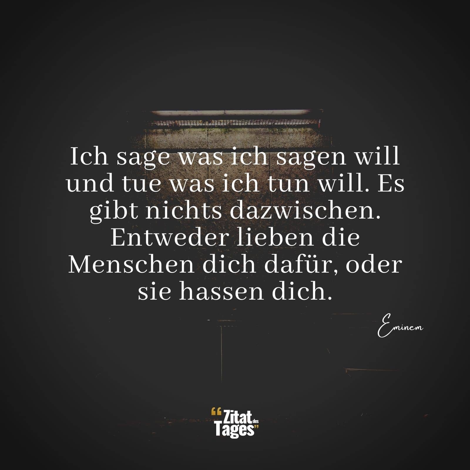 Ich sage was ich sagen will und tue was ich tun will. Es gibt nichts dazwischen. Entweder lieben die Menschen dich dafür, oder sie hassen dich. - Eminem