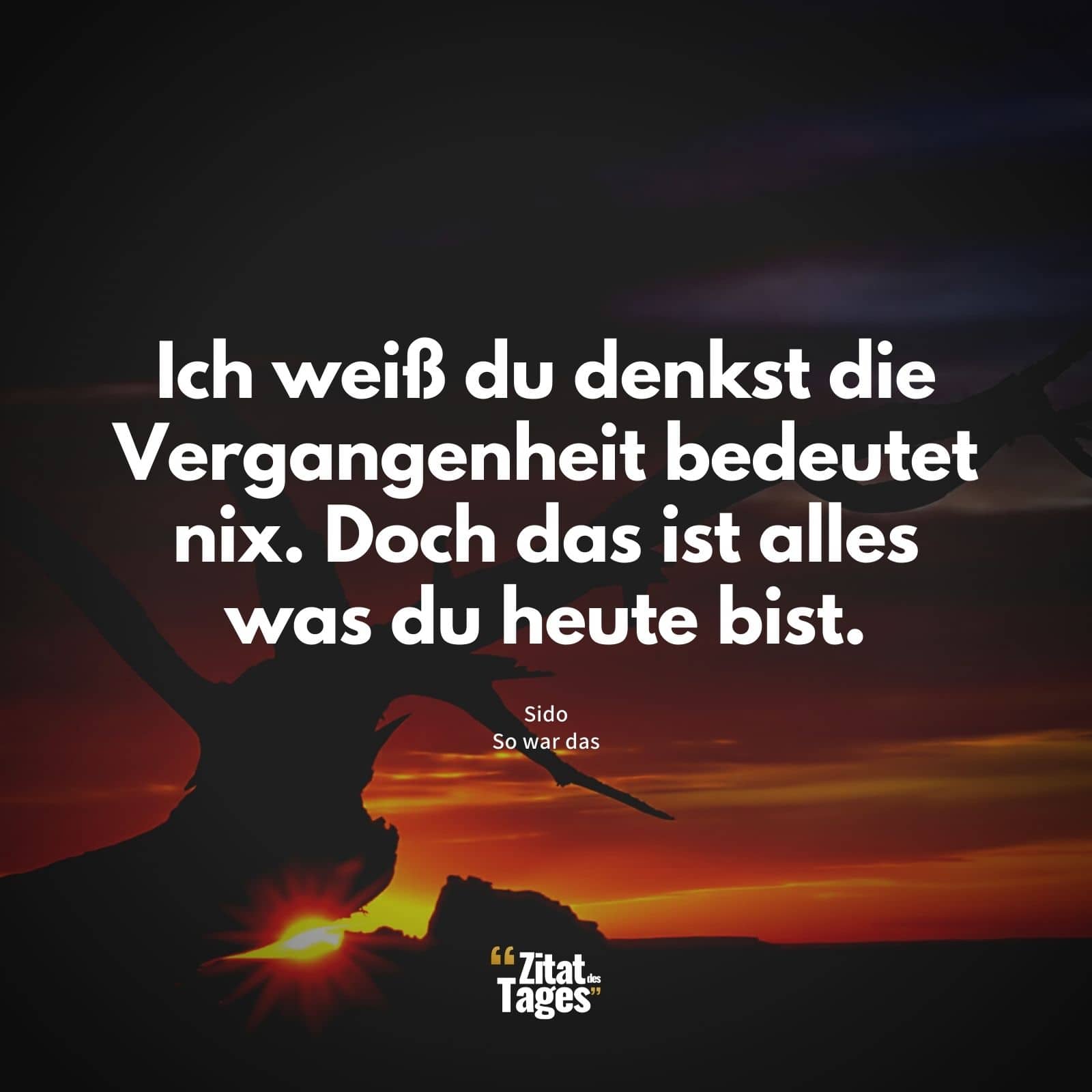 Ich weiß du denkst die Vergangenheit bedeutet nix. Doch das ist alles was du heute bist. - Sido