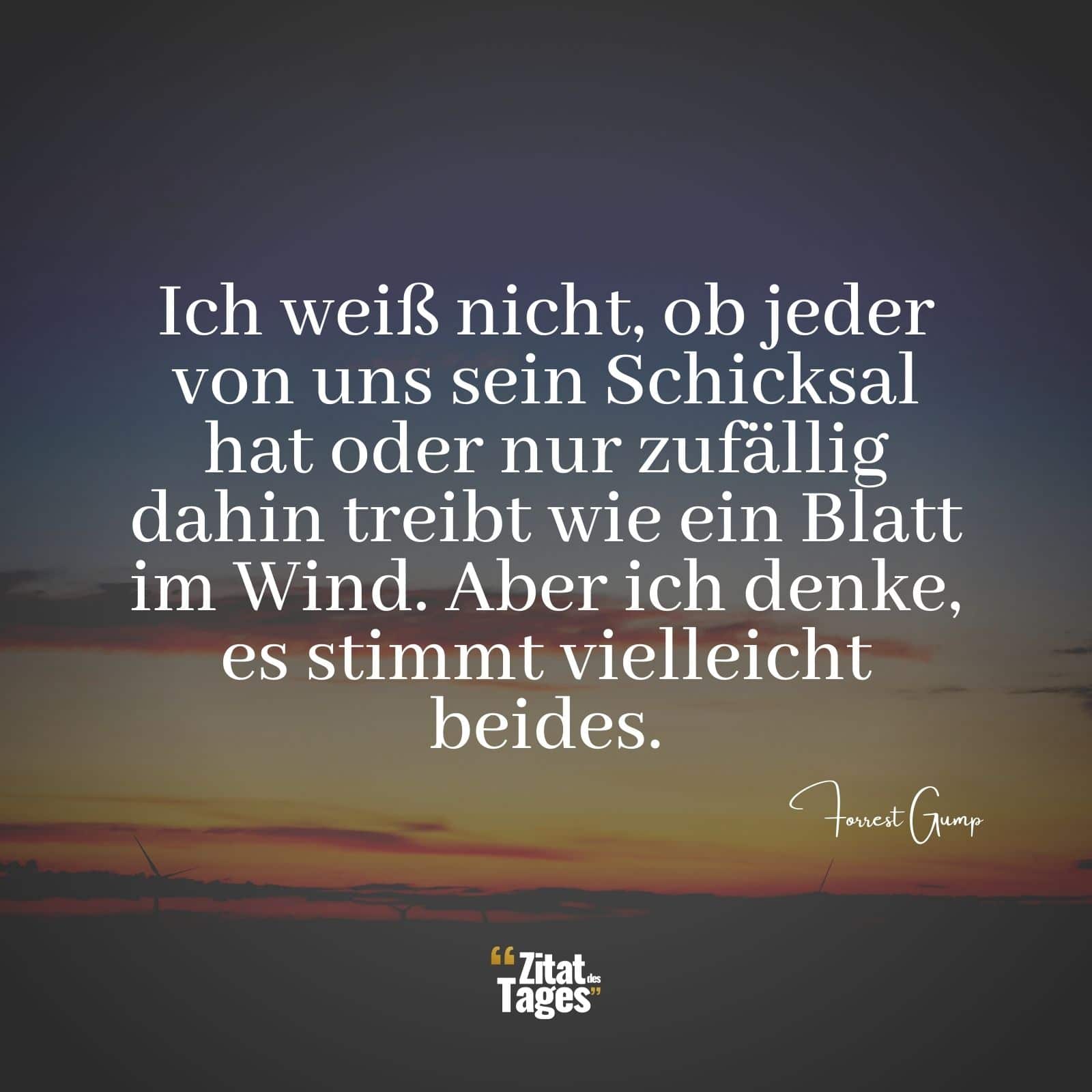 Ich weiß nicht, ob jeder von uns sein Schicksal hat oder nur zufällig dahin treibt wie ein Blatt im Wind. Aber ich denke, es stimmt vielleicht beides. - Forrest Gump