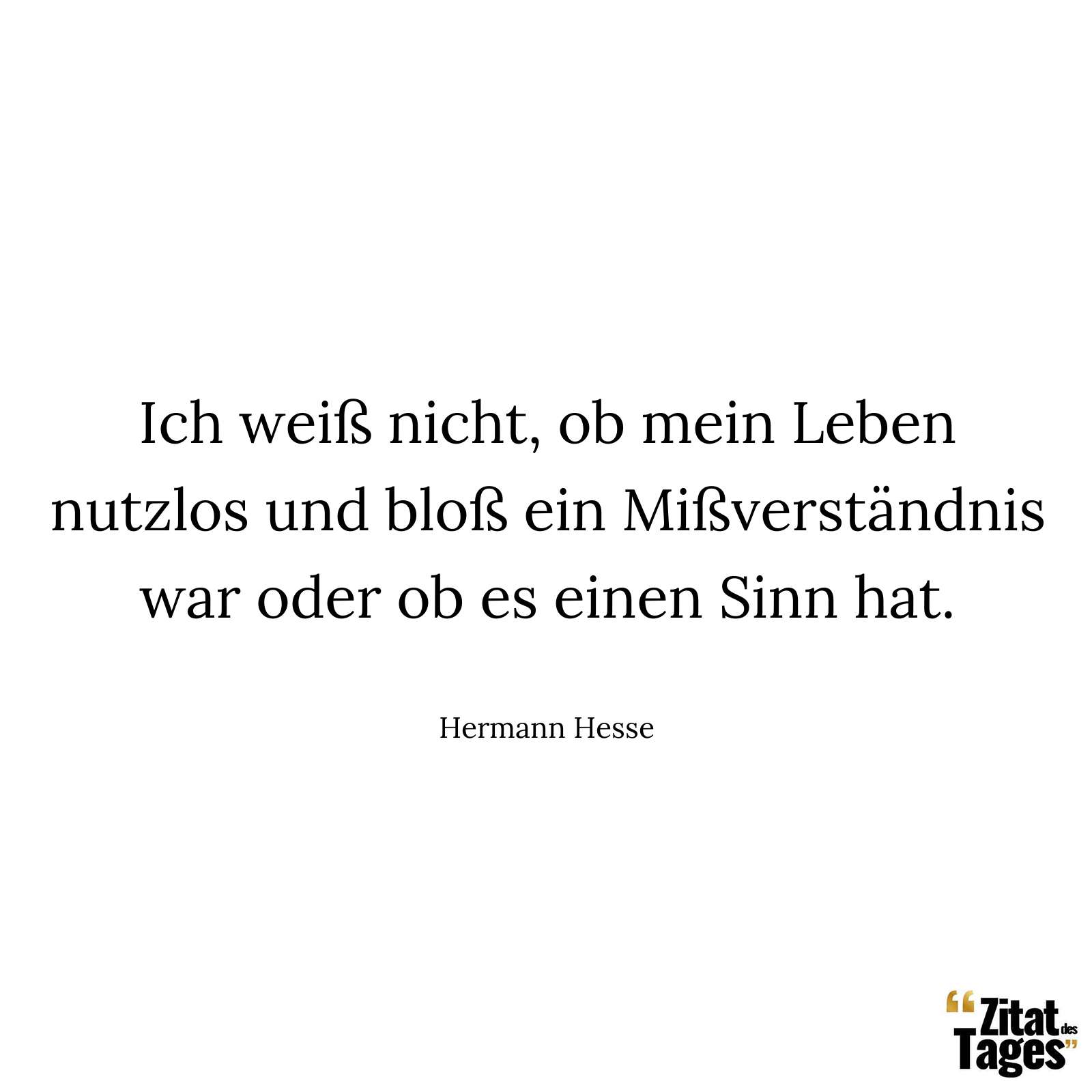 Ich weiß nicht, ob mein Leben nutzlos und bloß ein Mißverständnis war oder ob es einen Sinn hat. - Hermann Hesse