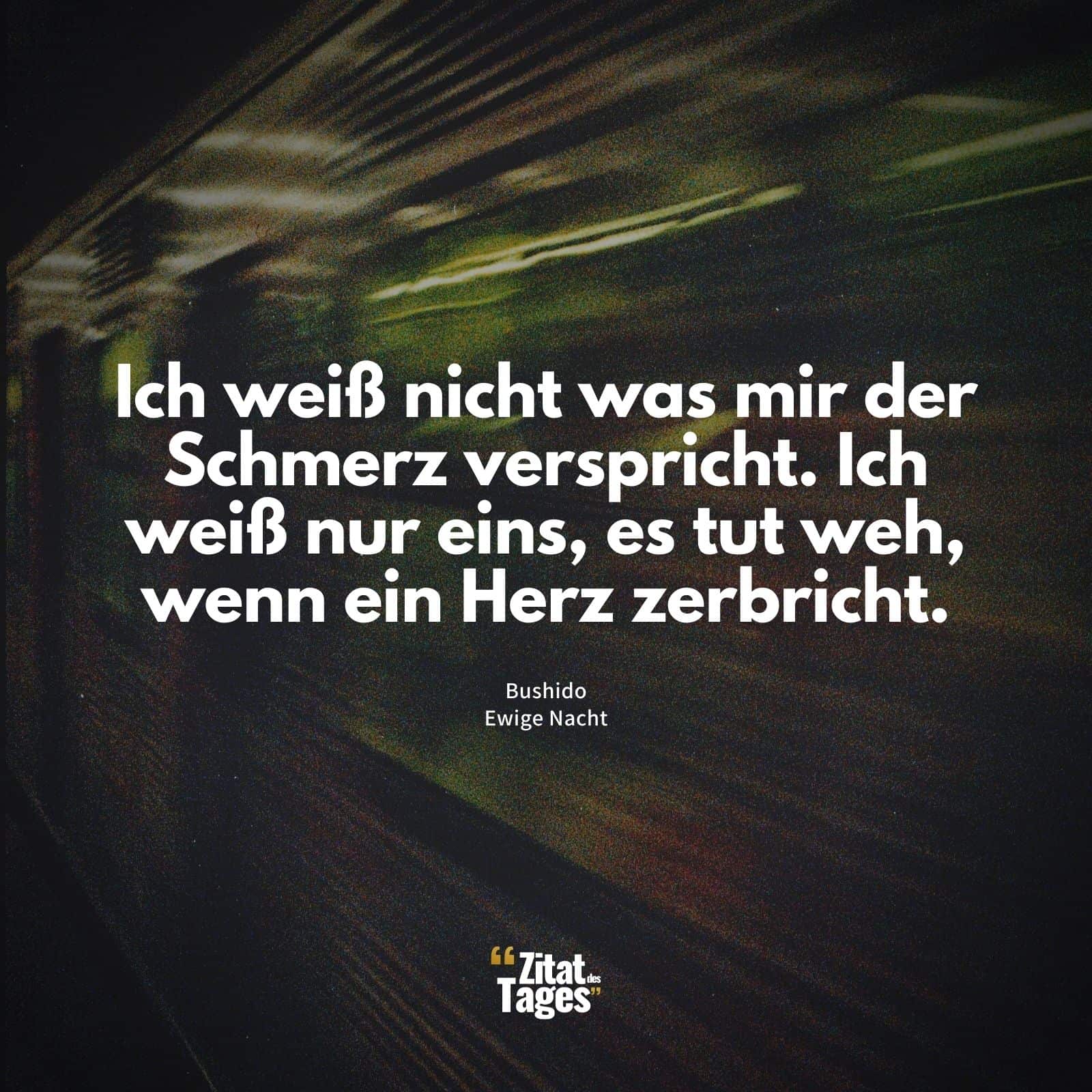 Ich weiß nicht was mir der Schmerz verspricht. Ich weiß nur eins, es tut weh, wenn ein Herz zerbricht. - Bushido