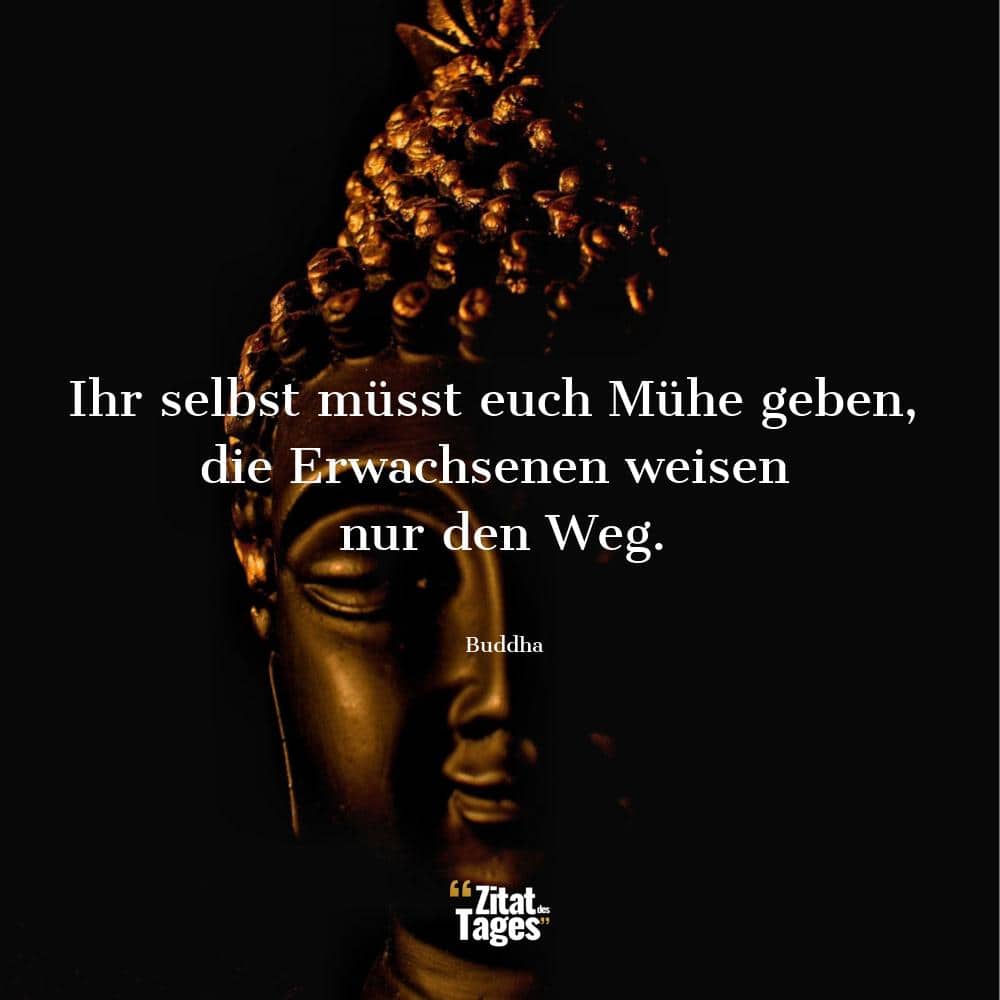 Ihr selbst müsst euch Mühe geben, die Erwachsenen weisen nur den Weg. - Buddha