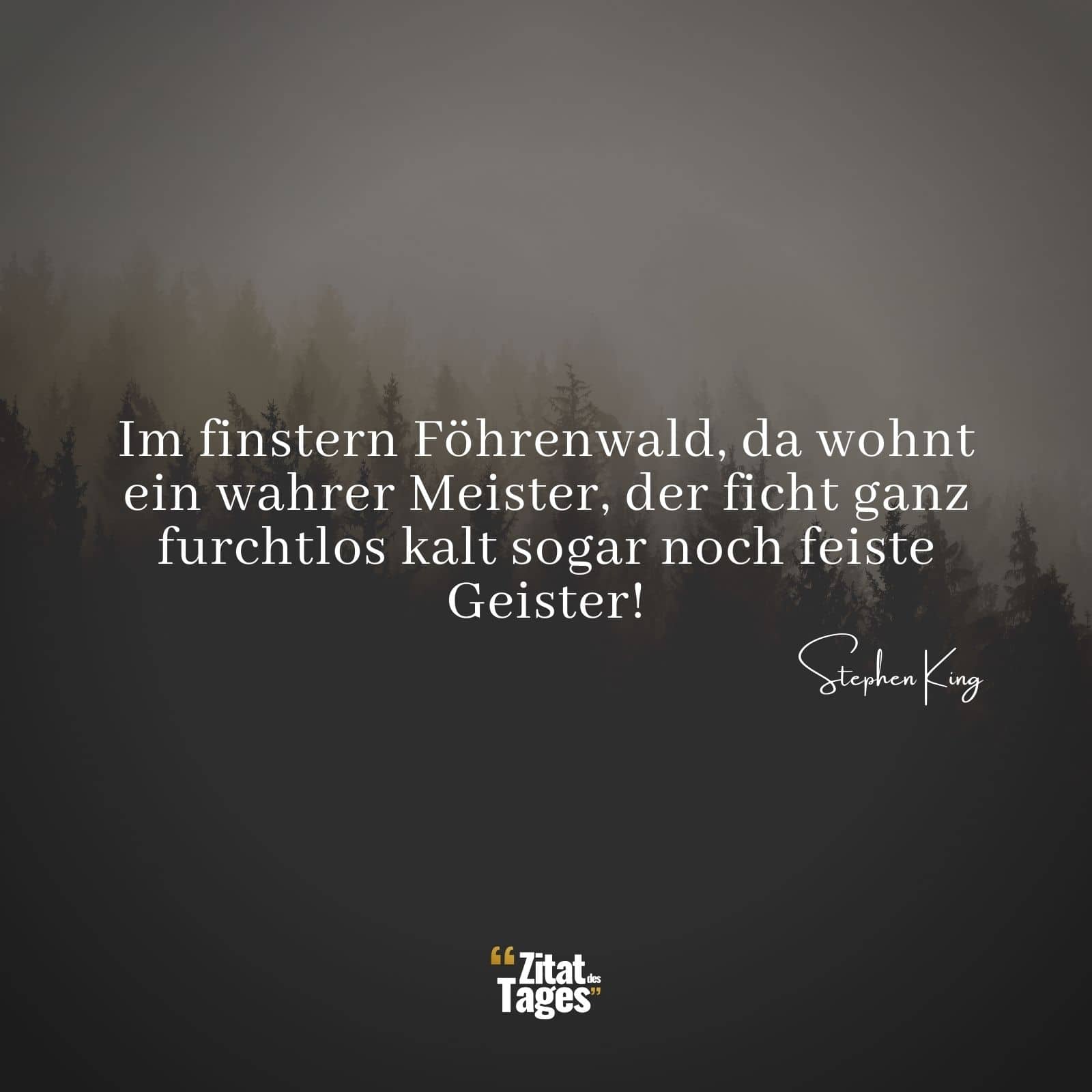 Im finstern Föhrenwald, da wohnt ein wahrer Meister, der ficht ganz furchtlos kalt sogar noch feiste Geister! - Stephen King