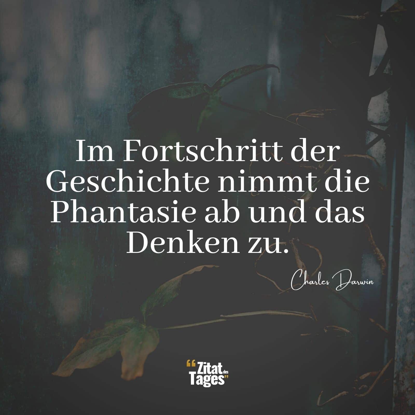 Im Fortschritt der Geschichte nimmt die Phantasie ab und das Denken zu. - Charles Darwin