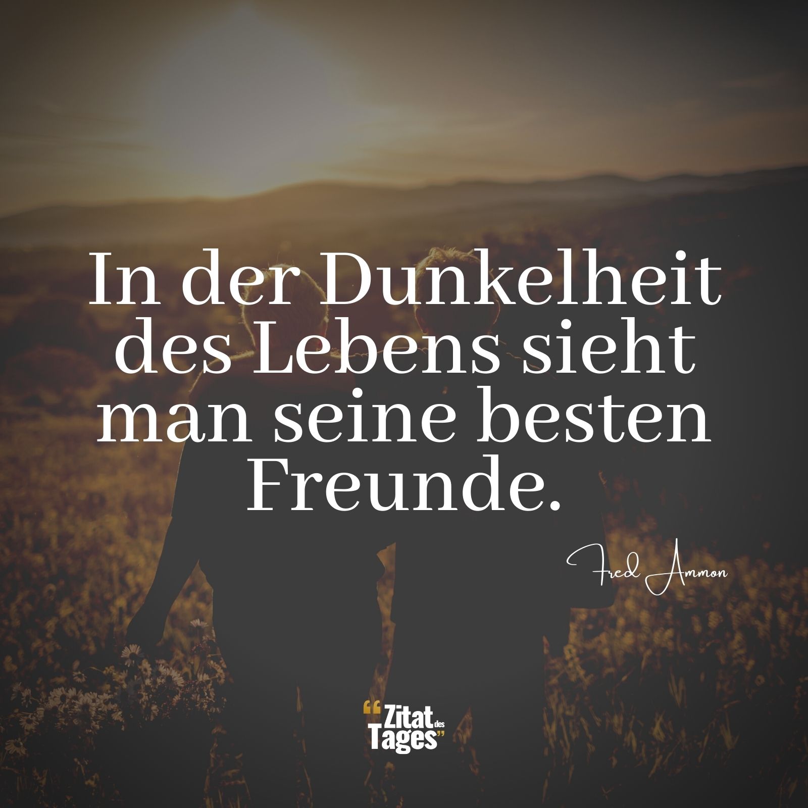 In der Dunkelheit des Lebens sieht man seine besten Freunde. - Fred Ammon