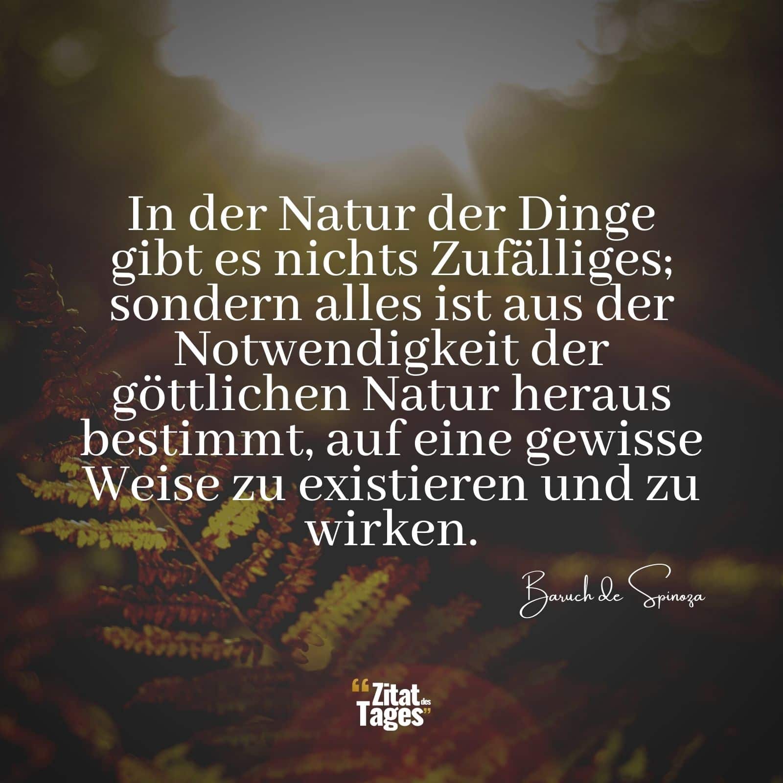 In der Natur der Dinge gibt es nichts Zufälliges; sondern alles ist aus der Notwendigkeit der göttlichen Natur heraus bestimmt, auf eine gewisse Weise zu existieren und zu wirken. - Baruch de Spinoza