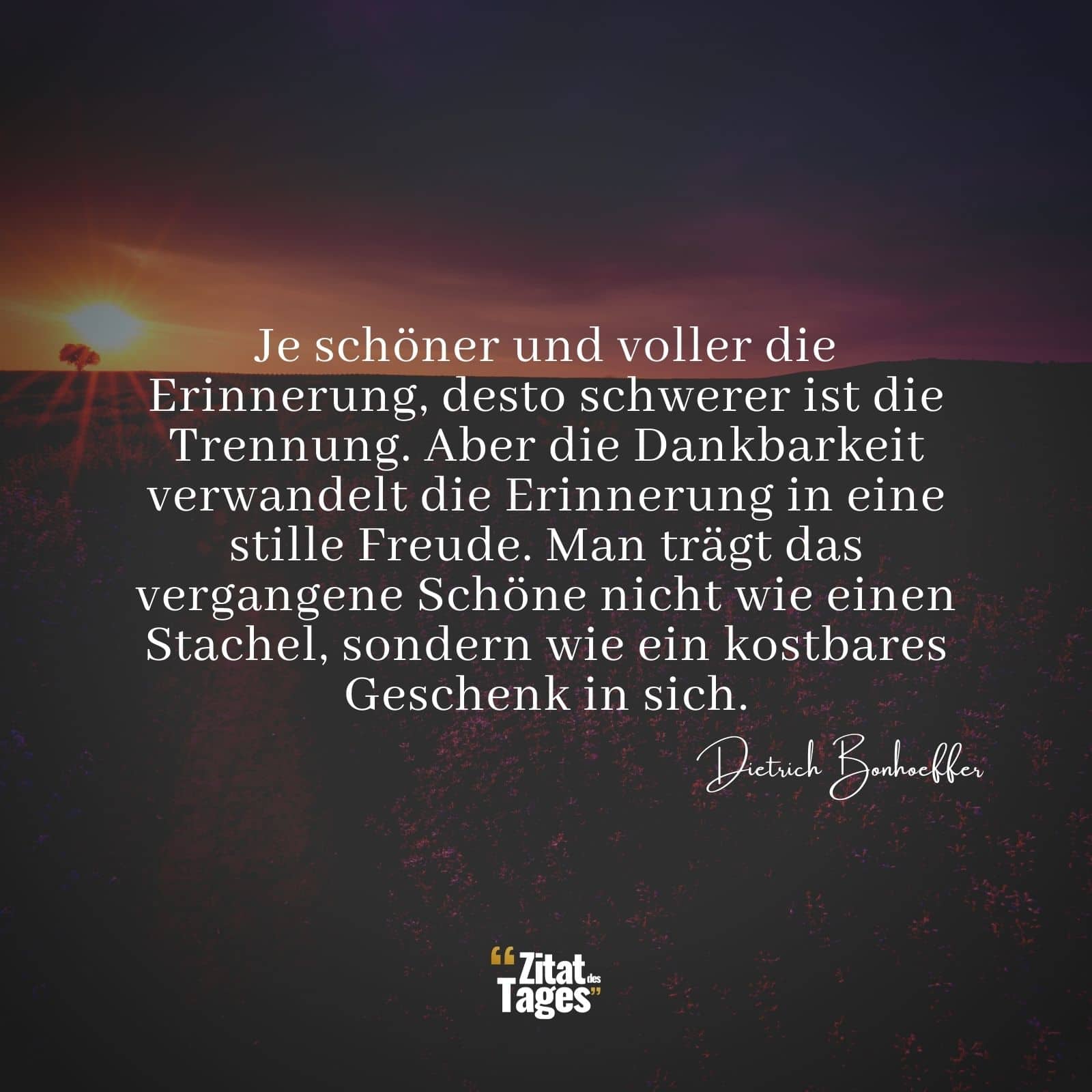 Je schöner und voller die Erinnerung, desto schwerer ist die Trennung. Aber die Dankbarkeit verwandelt die Erinnerung in eine stille Freude. Man trägt das vergangene Schöne nicht wie einen Stachel, sondern wie ein kostbares Geschenk in sich. - Dietrich Bonhoeffer