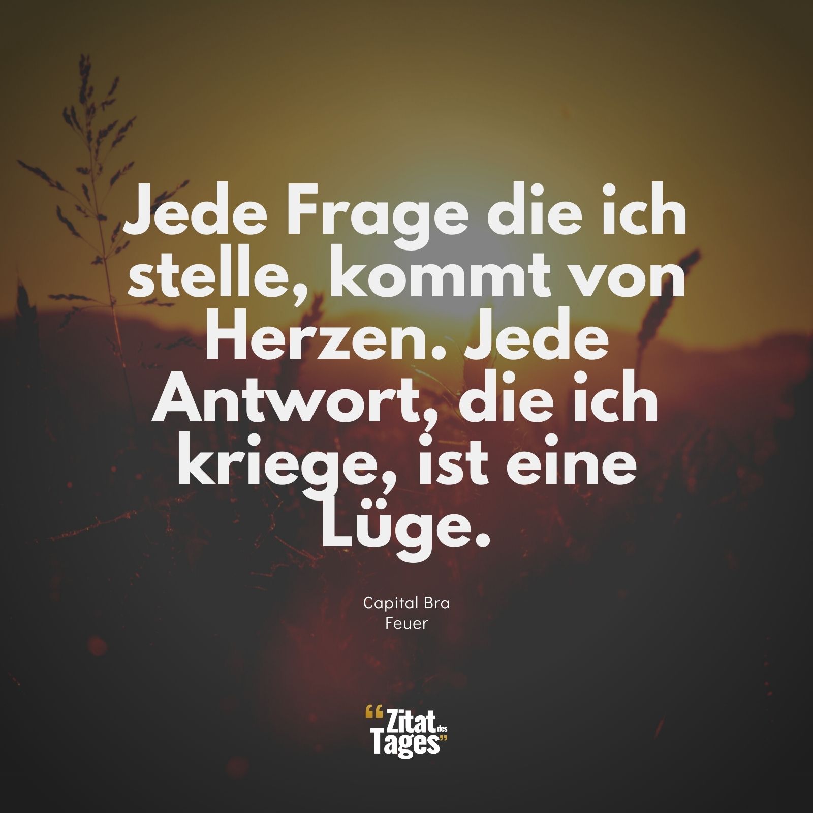 Jede Frage die ich stelle, kommt von Herzen. Jede Antwort, die ich kriege, ist eine Lüge. - Capital Bra