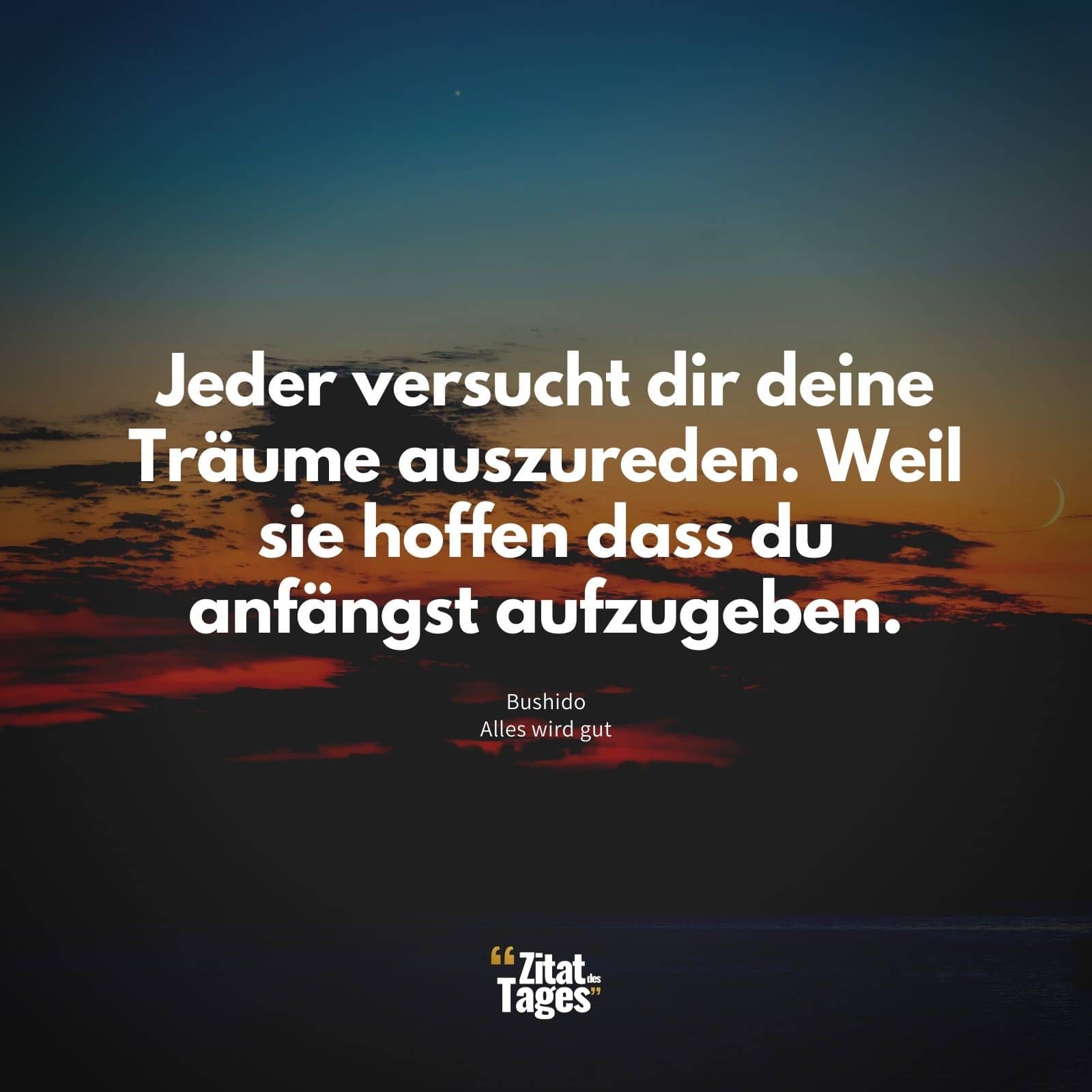 Jeder versucht dir deine Träume auszureden. Weil sie hoffen dass du anfängst aufzugeben. - Bushido