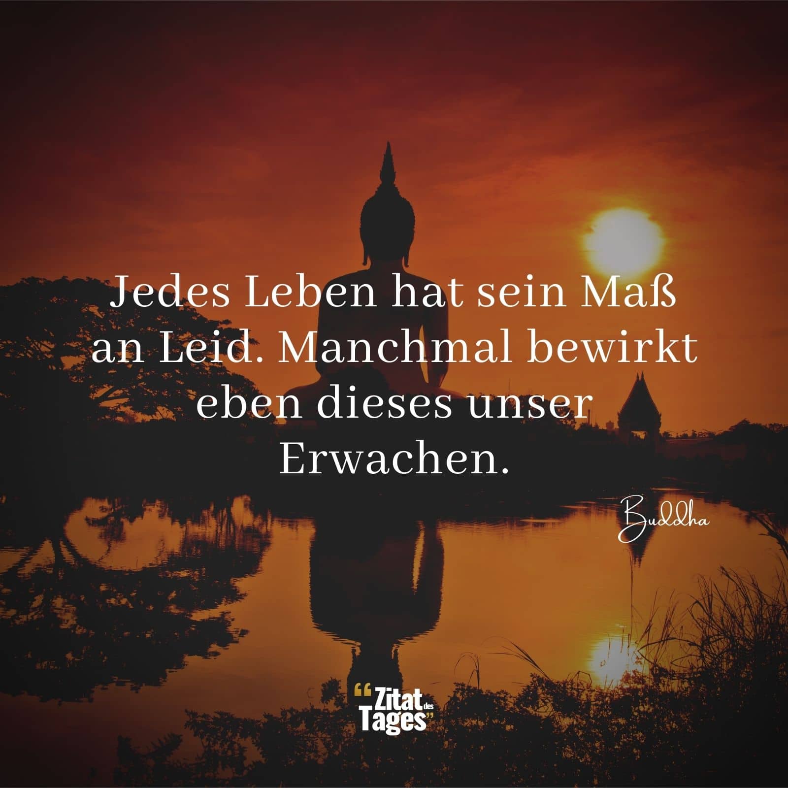 Jedes Leben hat sein Maß an Leid. Manchmal bewirkt eben dieses unser Erwachen. - Buddha