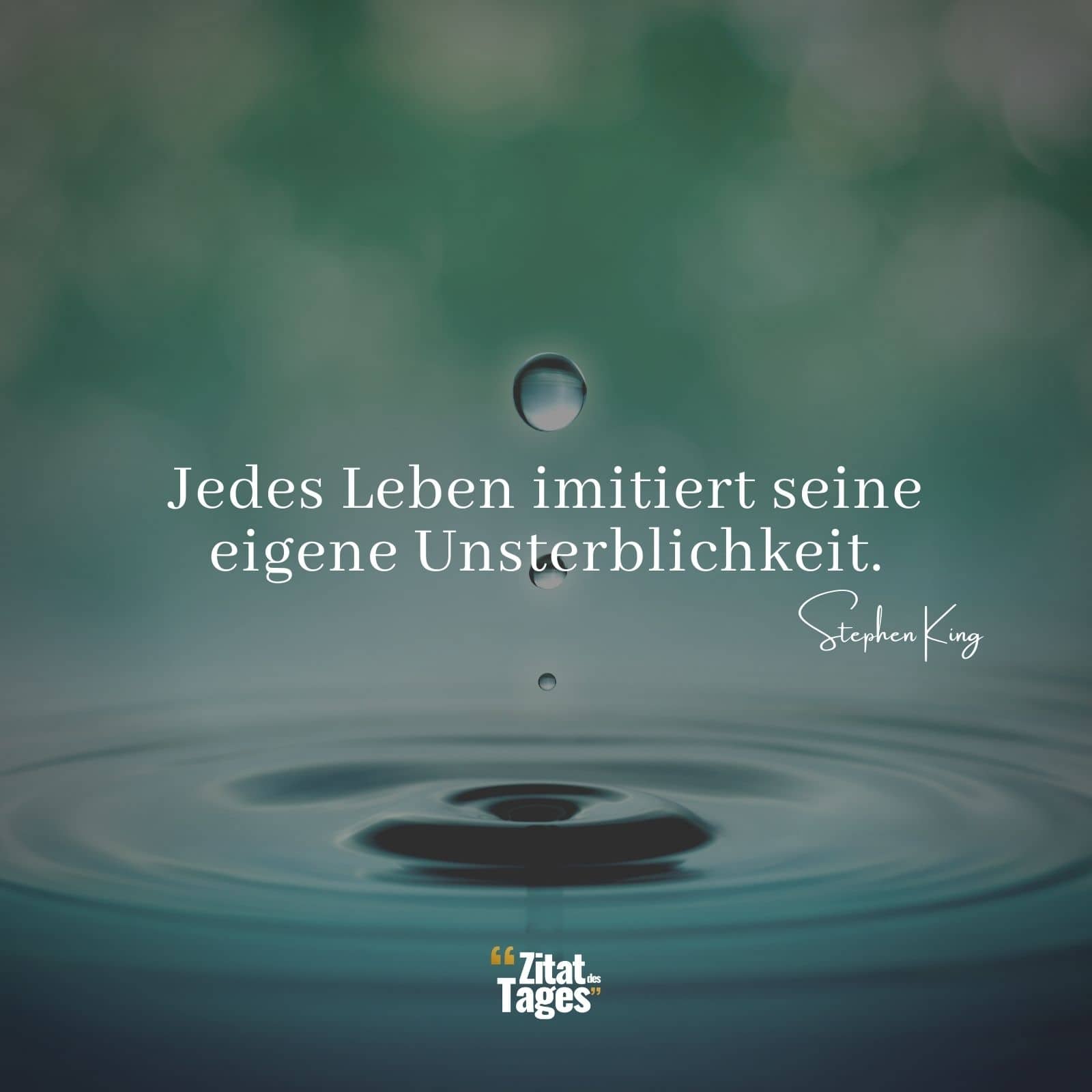 Jedes Leben imitiert seine eigene Unsterblichkeit. - Stephen King