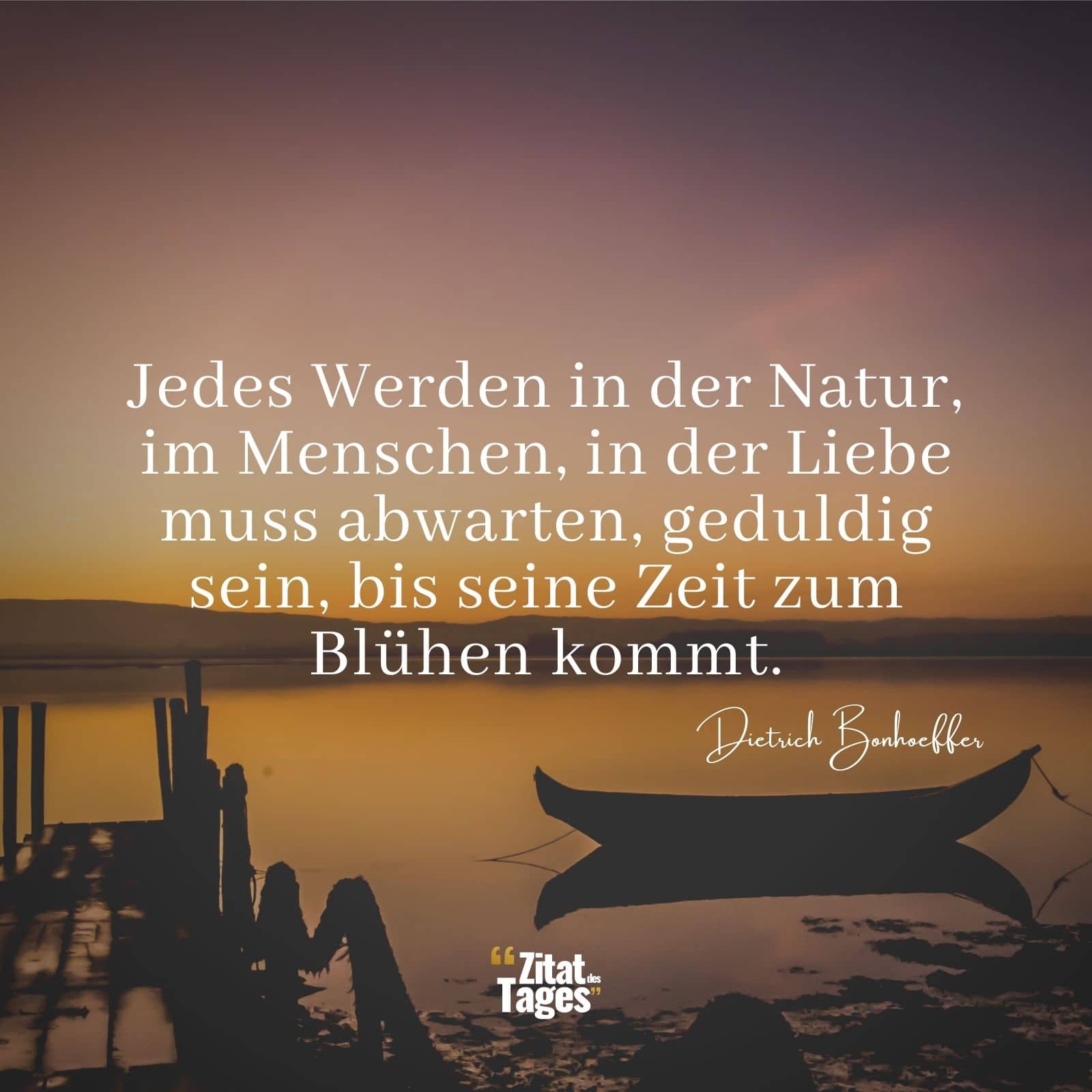 Jedes Werden in der Natur, im Menschen, in der Liebe muss abwarten, geduldig sein, bis seine Zeit zum Blühen kommt. - Dietrich Bonhoeffer