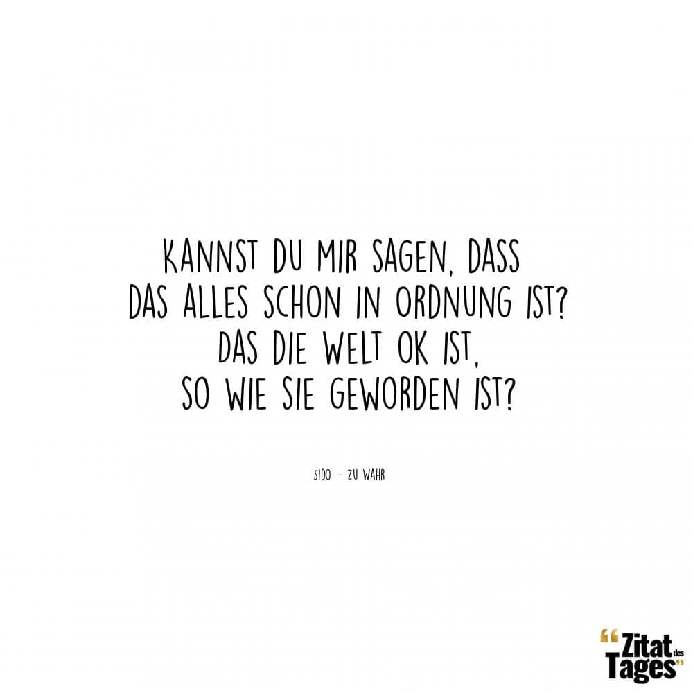 Kannst du mir sagen, dass das alles schon in Ordnung ist? Das die Welt ok ist, so wie sie geworden ist? - Sido