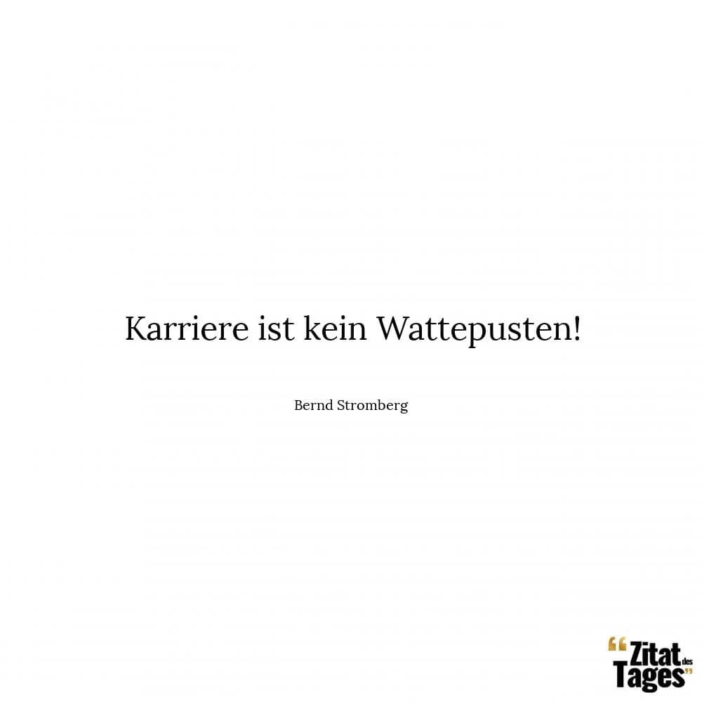 Karriere ist kein Wattepusten! - Bernd Stromberg