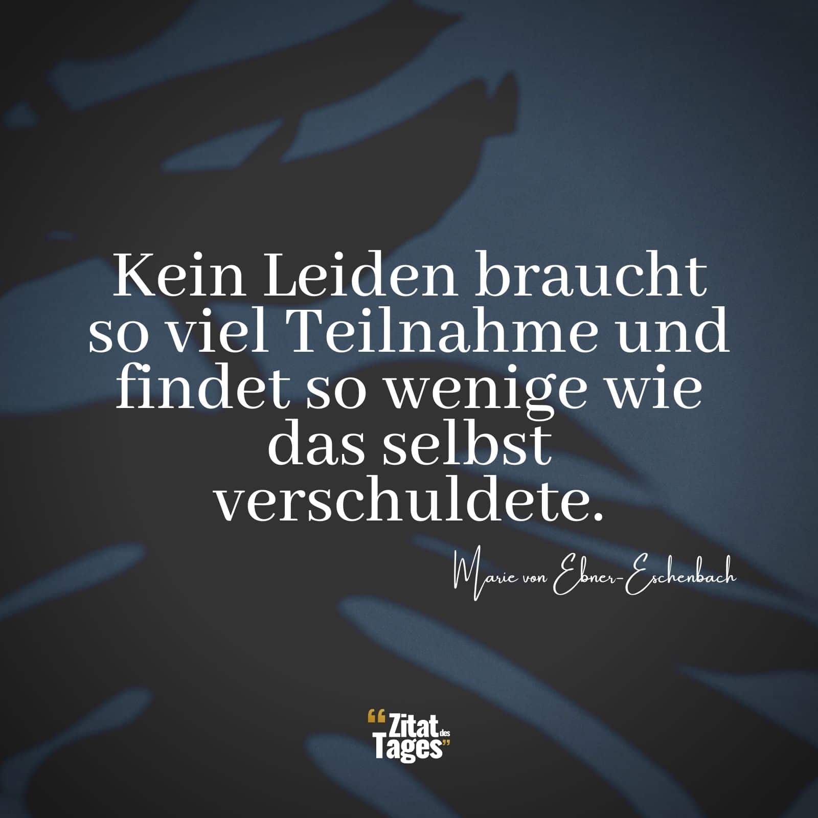 Kein Leiden braucht so viel Teilnahme und findet so wenige wie das selbst verschuldete. - Marie von Ebner-Eschenbach