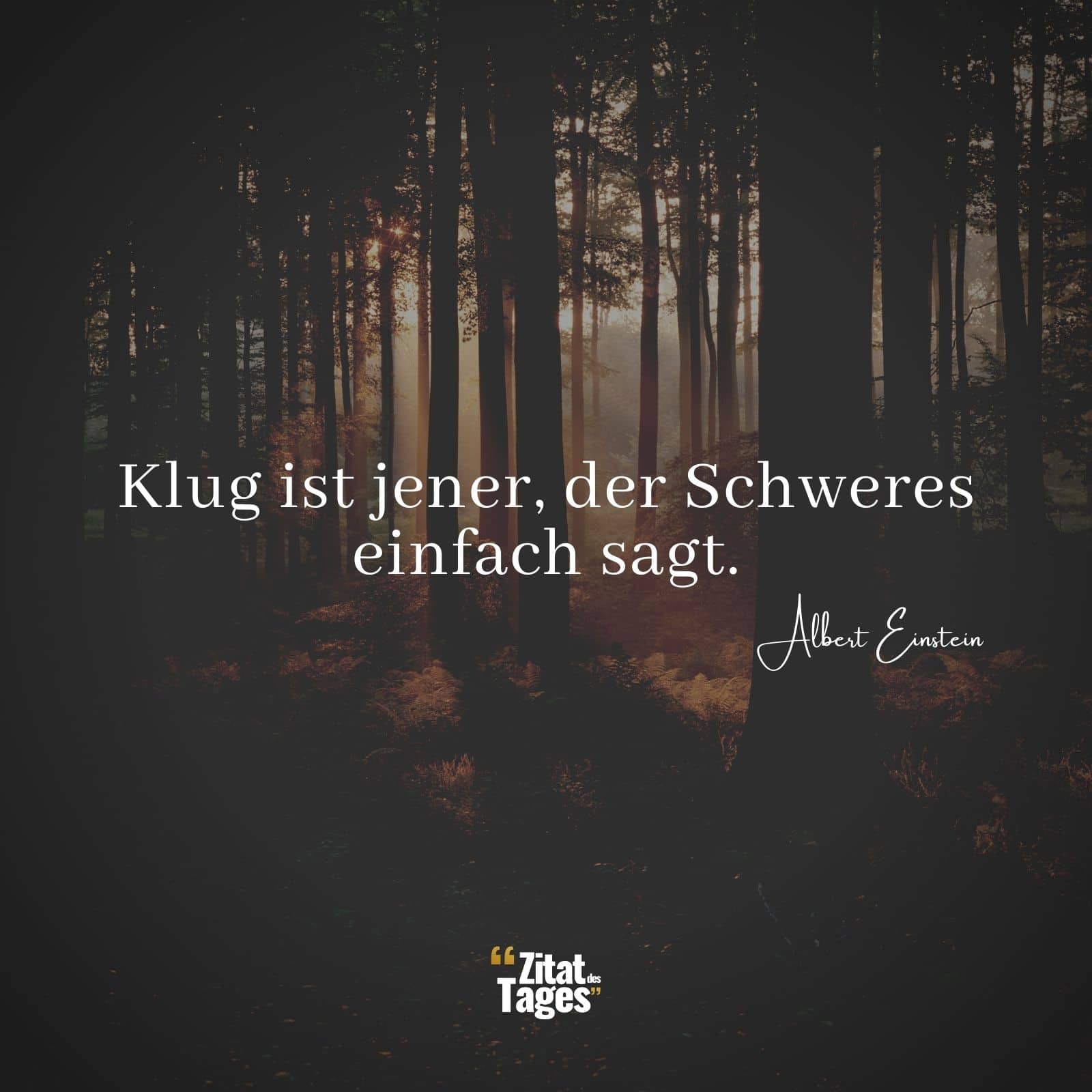 Klug ist jener, der Schweres einfach sagt. - Albert Einstein