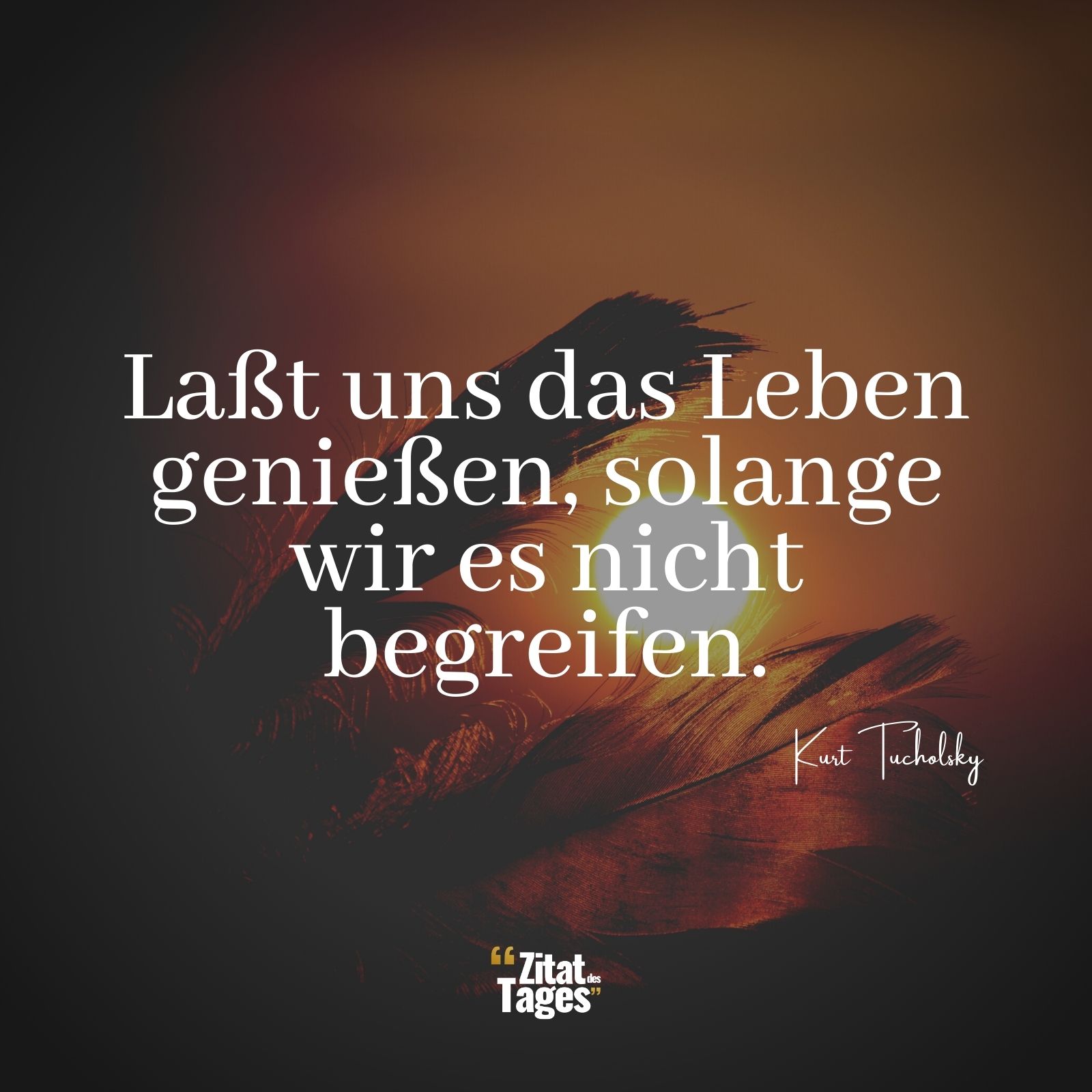 Laßt uns das Leben genießen, solange wir es nicht begreifen. - Kurt Tucholsky