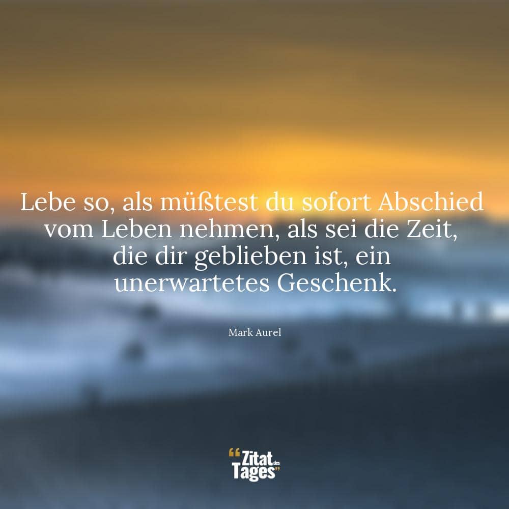 Lebe so, als müßtest du sofort Abschied vom Leben nehmen, als sei die Zeit, die dir geblieben ist, ein unerwartetes Geschenk. - Mark Aurel