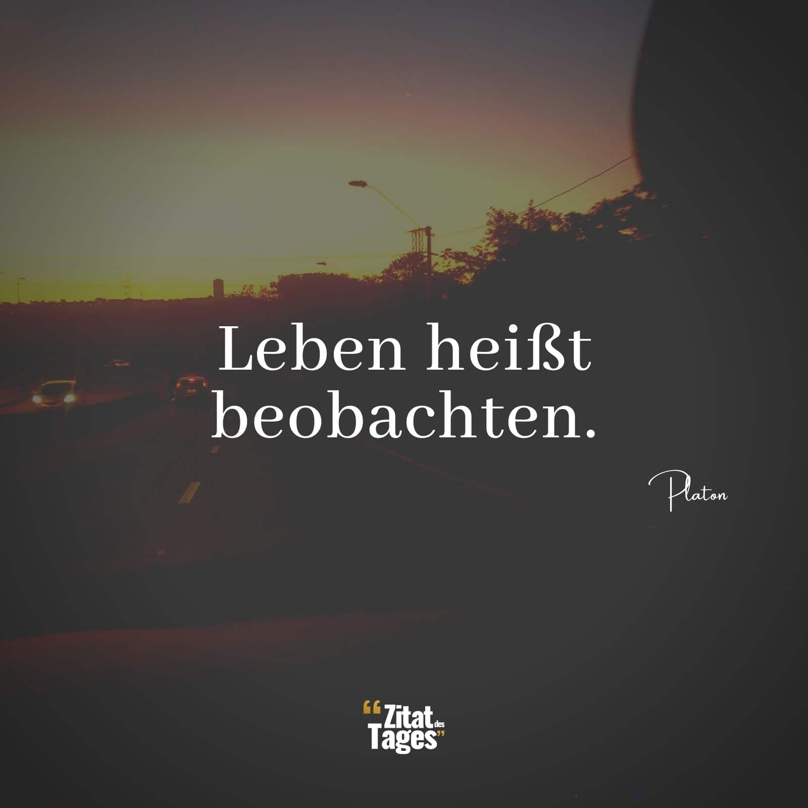 Leben heißt beobachten. - Platon