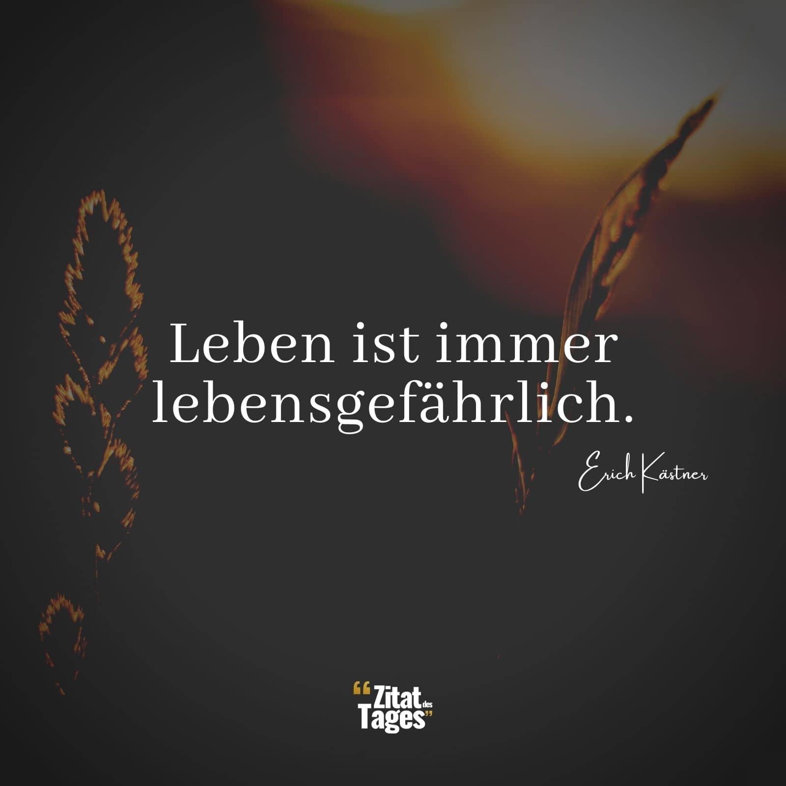 Leben ist immer lebensgefährlich. - Erich Kästner