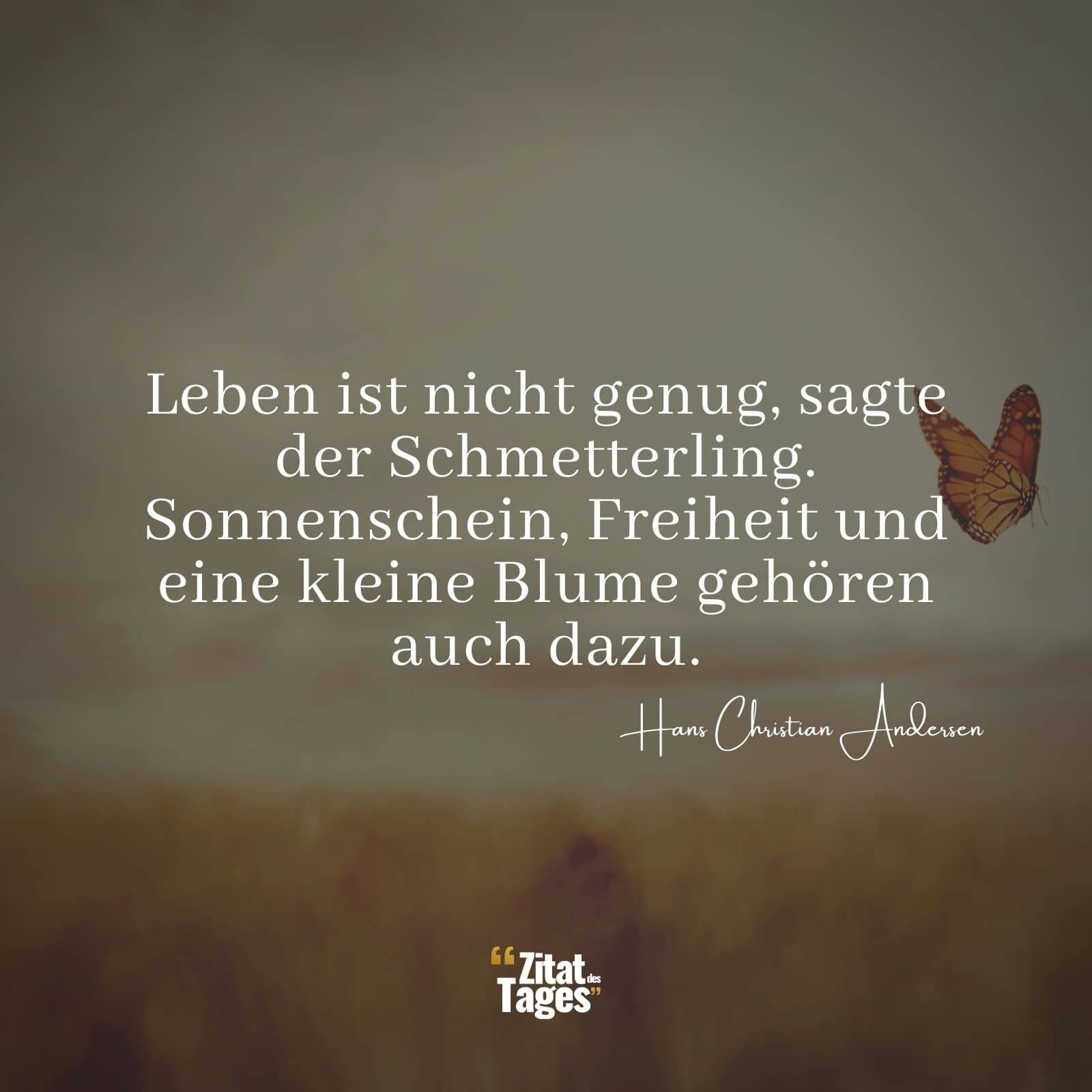 Leben ist nicht genug, sagte der Schmetterling. Sonnenschein, Freiheit und eine kleine Blume gehören auch dazu. - Hans Christian Andersen