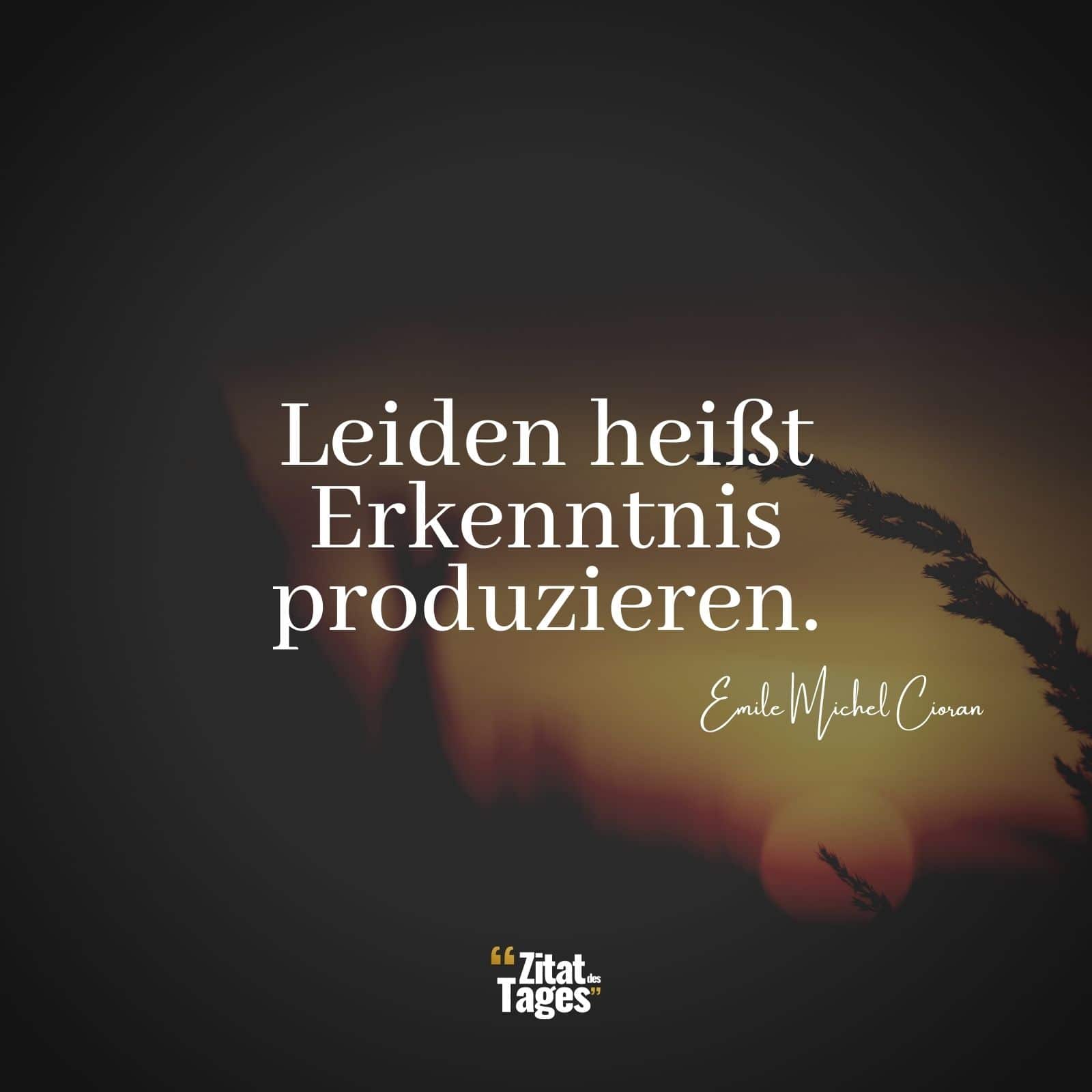 Leiden heißt Erkenntnis produzieren. - Emile Michel Cioran