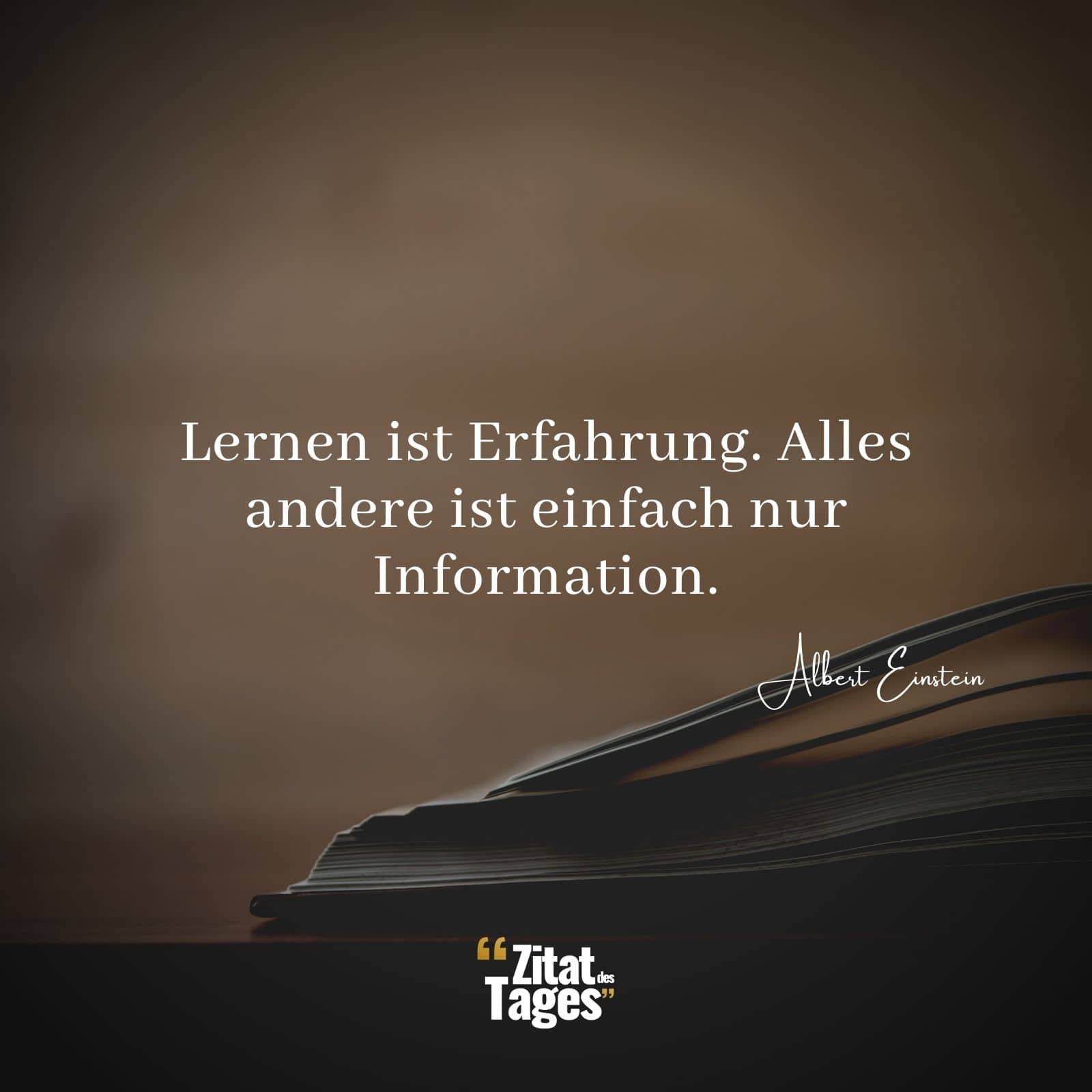 Lernen Ist Erfahrung Alles Andere Ist Einfach Nur Information Albert Einstein