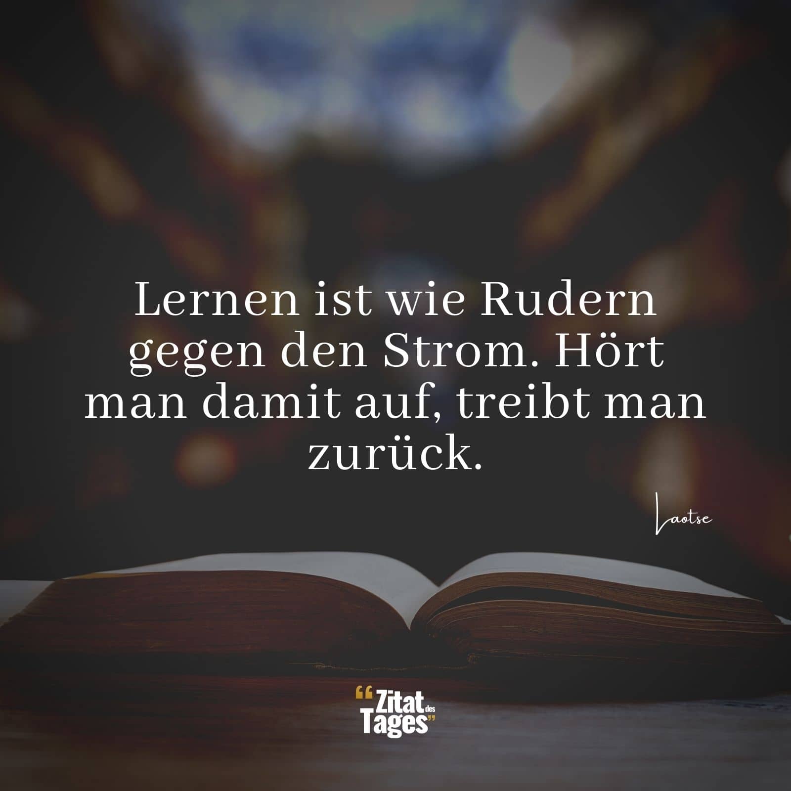 Lernen ist wie Rudern gegen den Strom. Hört man damit auf, treibt man zurück. - Laotse