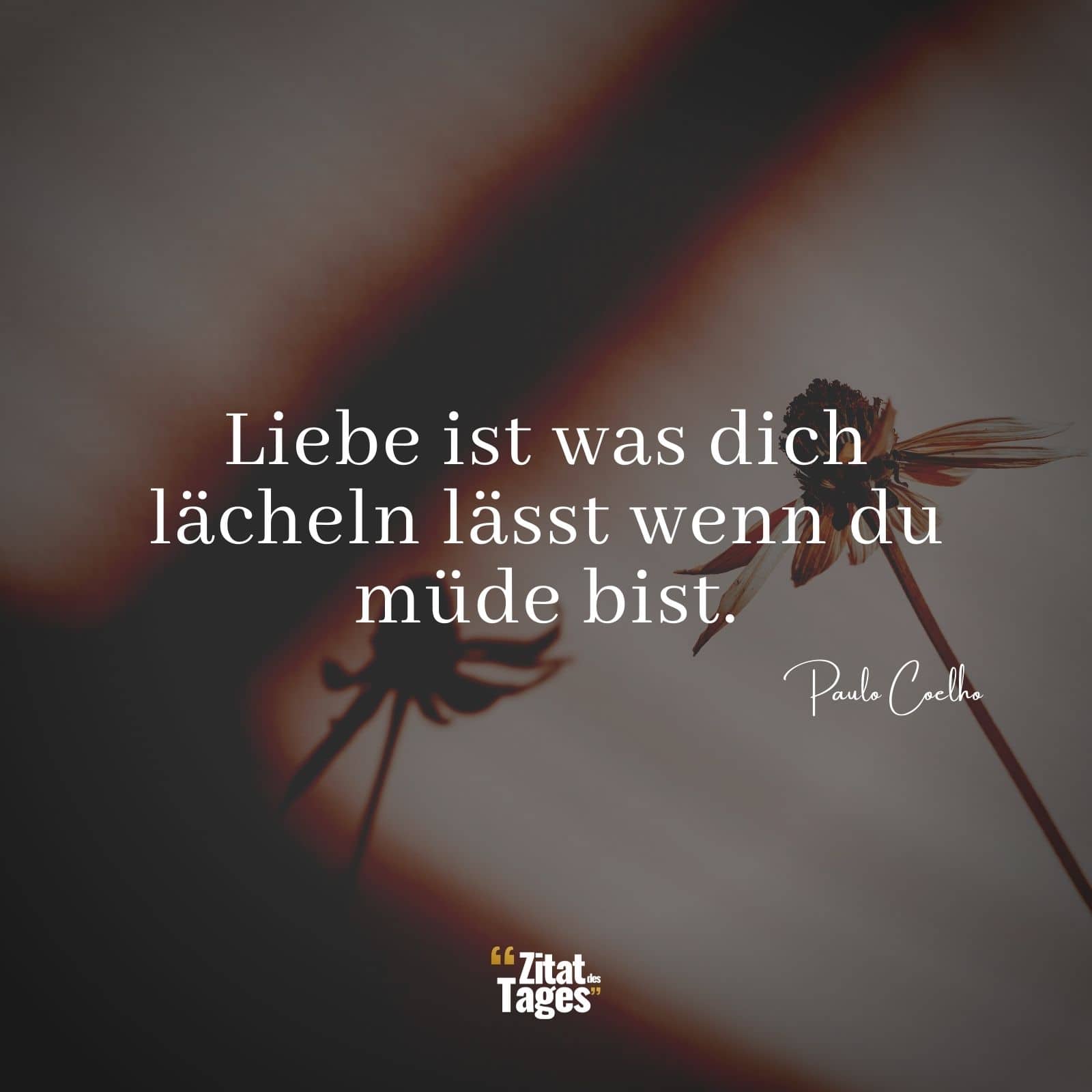 Liebe ist was dich lächeln lässt wenn du müde bist. - Paulo Coelho