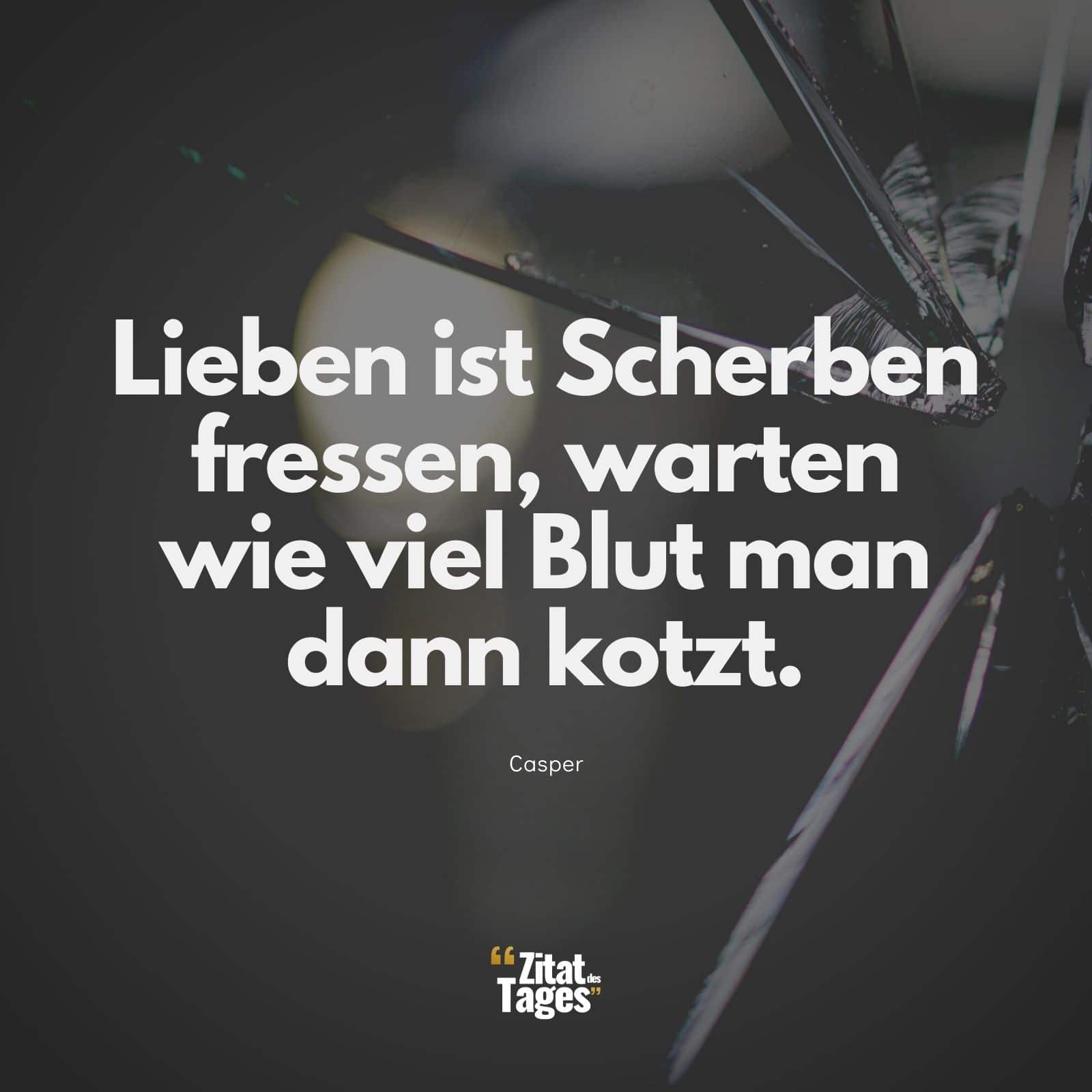 Lieben ist Scherben fressen, warten wie viel Blut man dann kotzt. - Casper