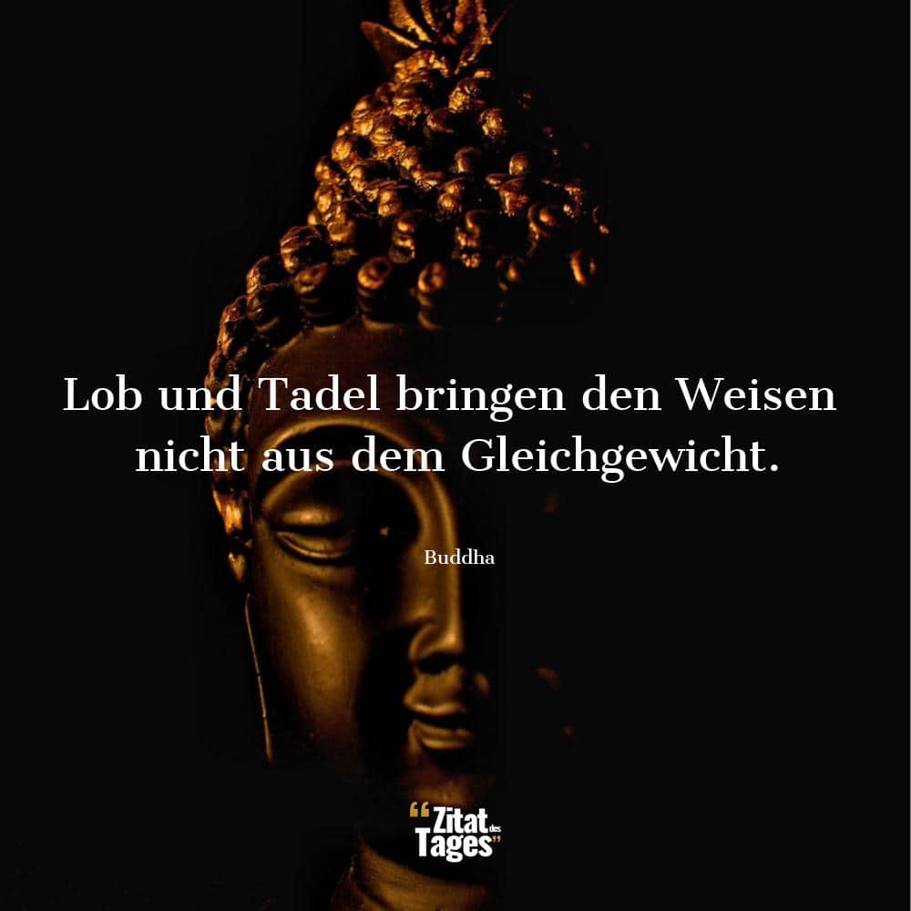 Lob und Tadel bringen den Weisen nicht aus dem Gleichgewicht. - Buddha