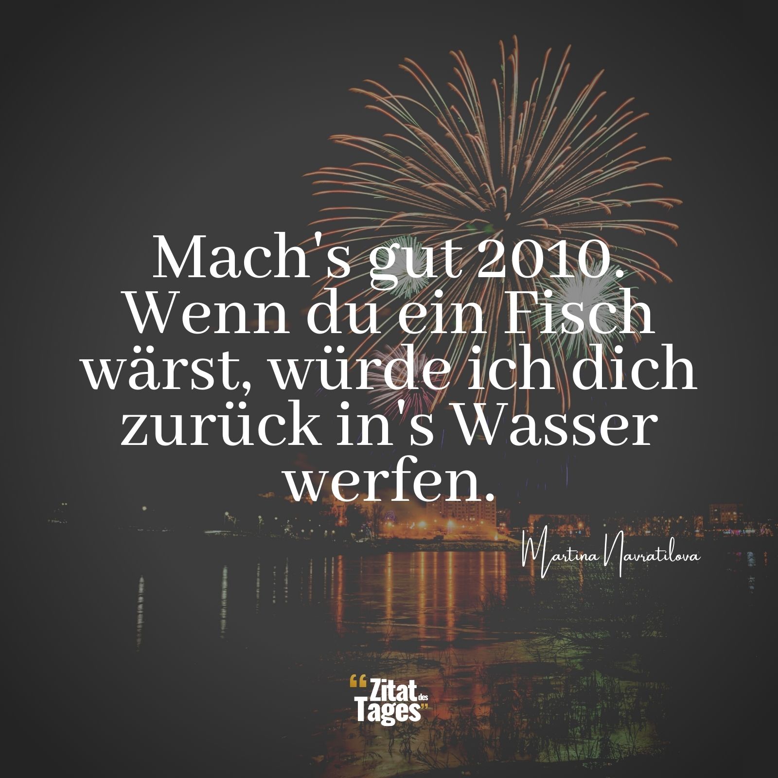 Mach's gut 2010. Wenn du ein Fisch wärst, würde ich dich zurück in's Wasser werfen. - Martina Navratilova