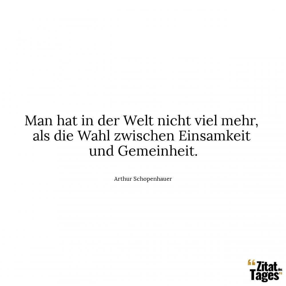 Man hat in der Welt nicht viel mehr, als die Wahl zwischen Einsamkeit und Gemeinheit. - Arthur Schopenhauer