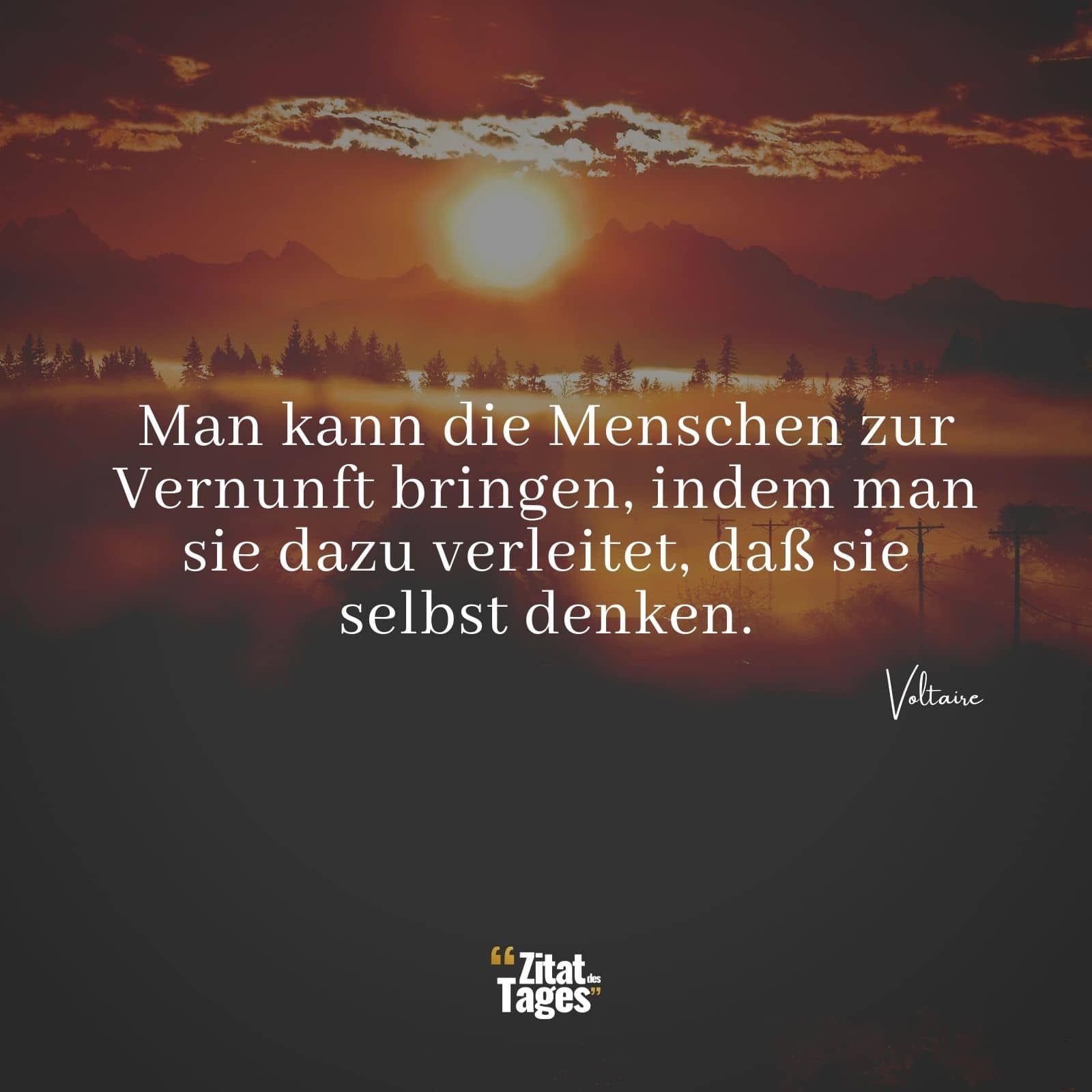 Man kann die Menschen zur Vernunft bringen, indem man sie dazu verleitet, daß sie selbst denken. - Voltaire