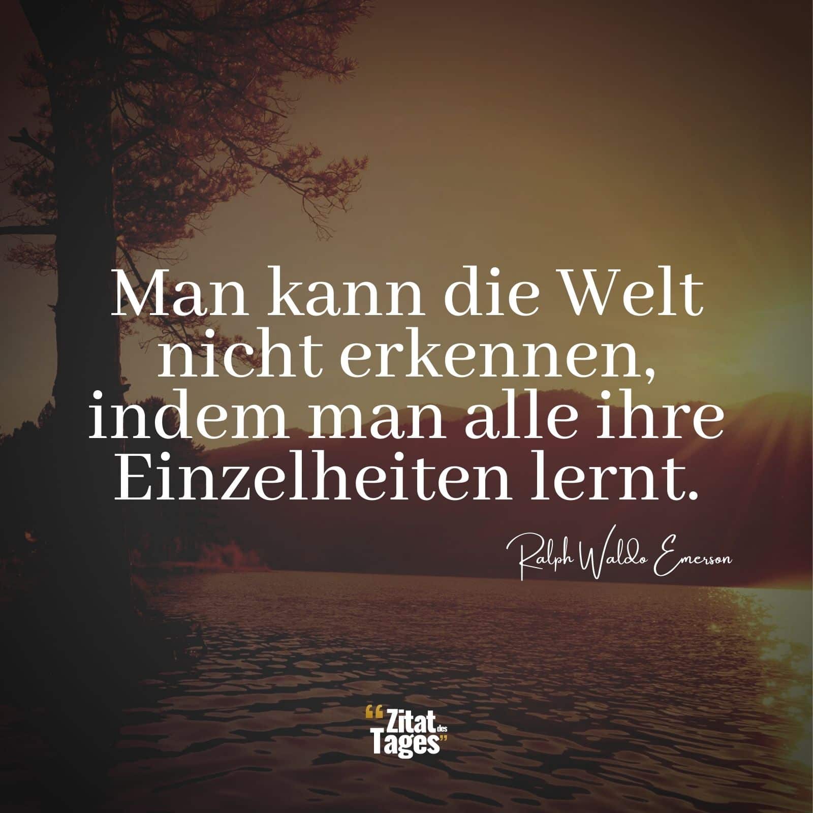 Man kann die Welt nicht erkennen, indem man alle ihre Einzelheiten lernt. - Ralph Waldo Emerson