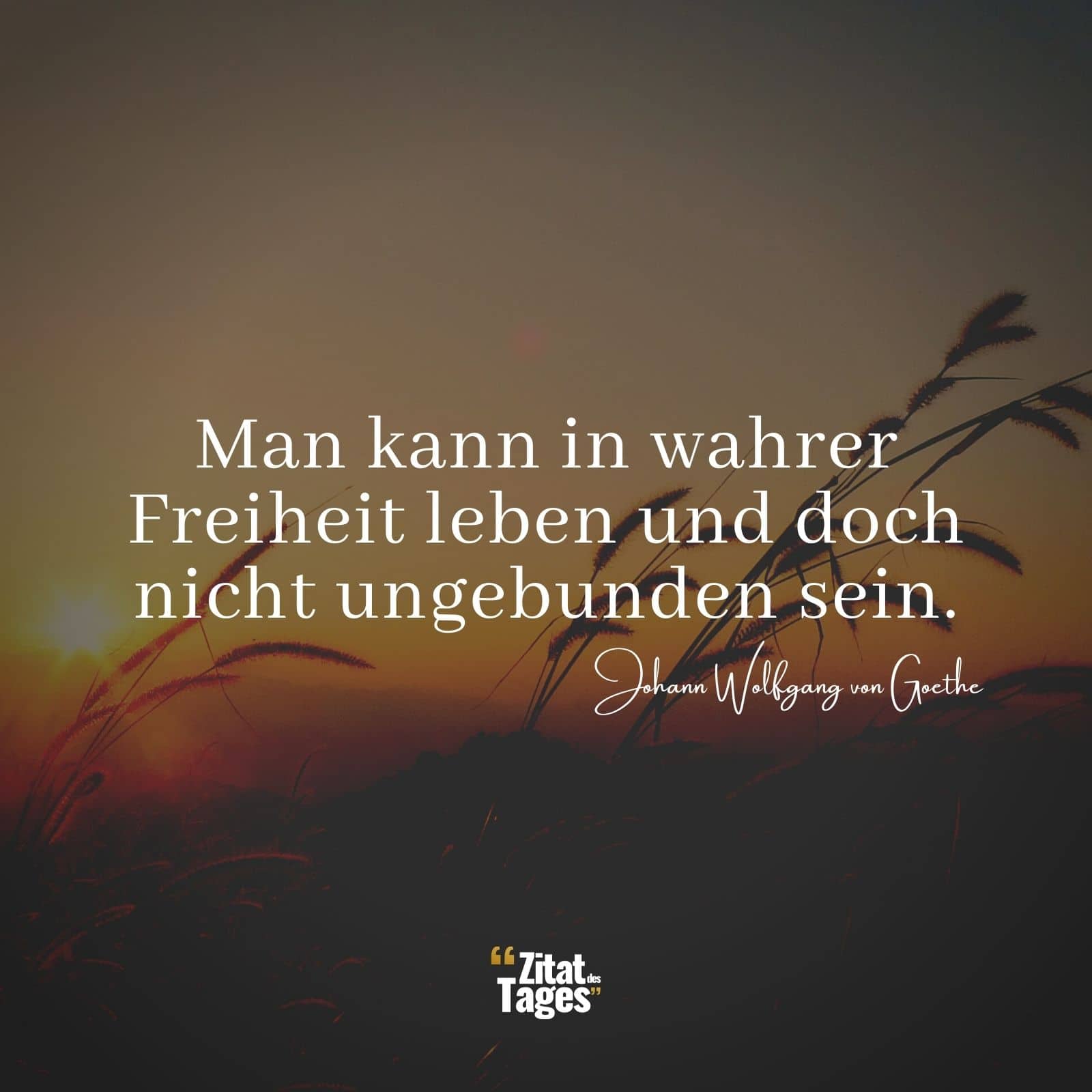 Man kann in wahrer Freiheit leben und doch nicht ungebunden sein. - Johann Wolfgang von Goethe