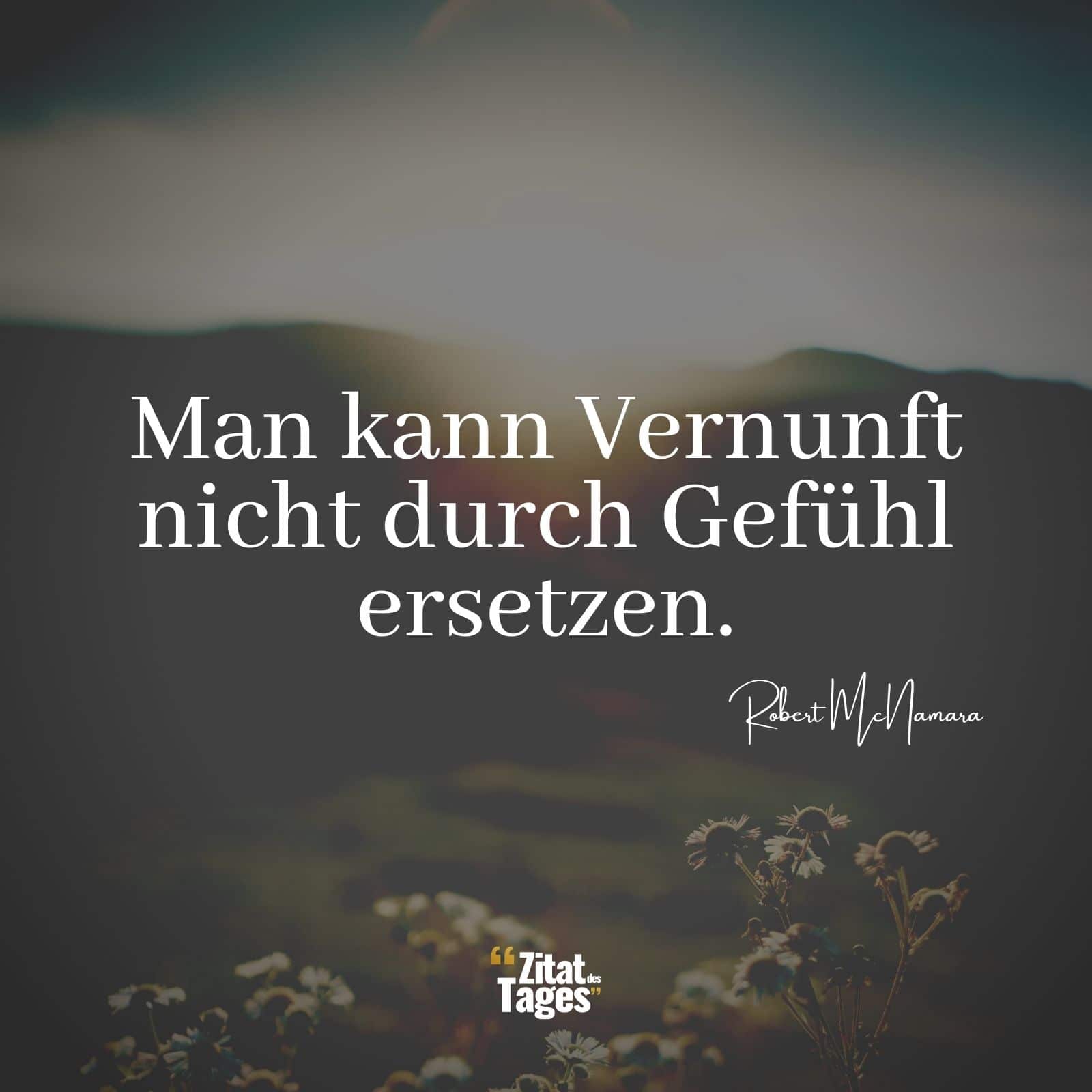 Man kann Vernunft nicht durch Gefühl ersetzen. - Robert McNamara