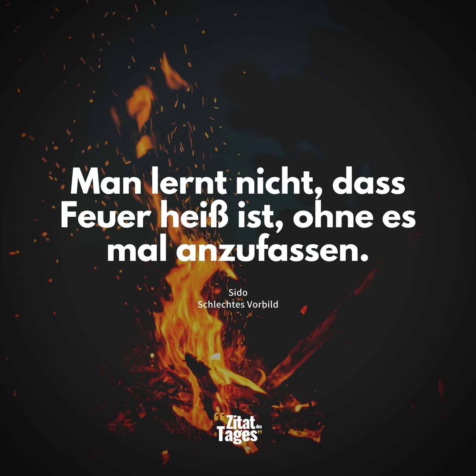 Man lernt nicht, dass Feuer heiß ist, ohne es mal anzufassen. - Sido