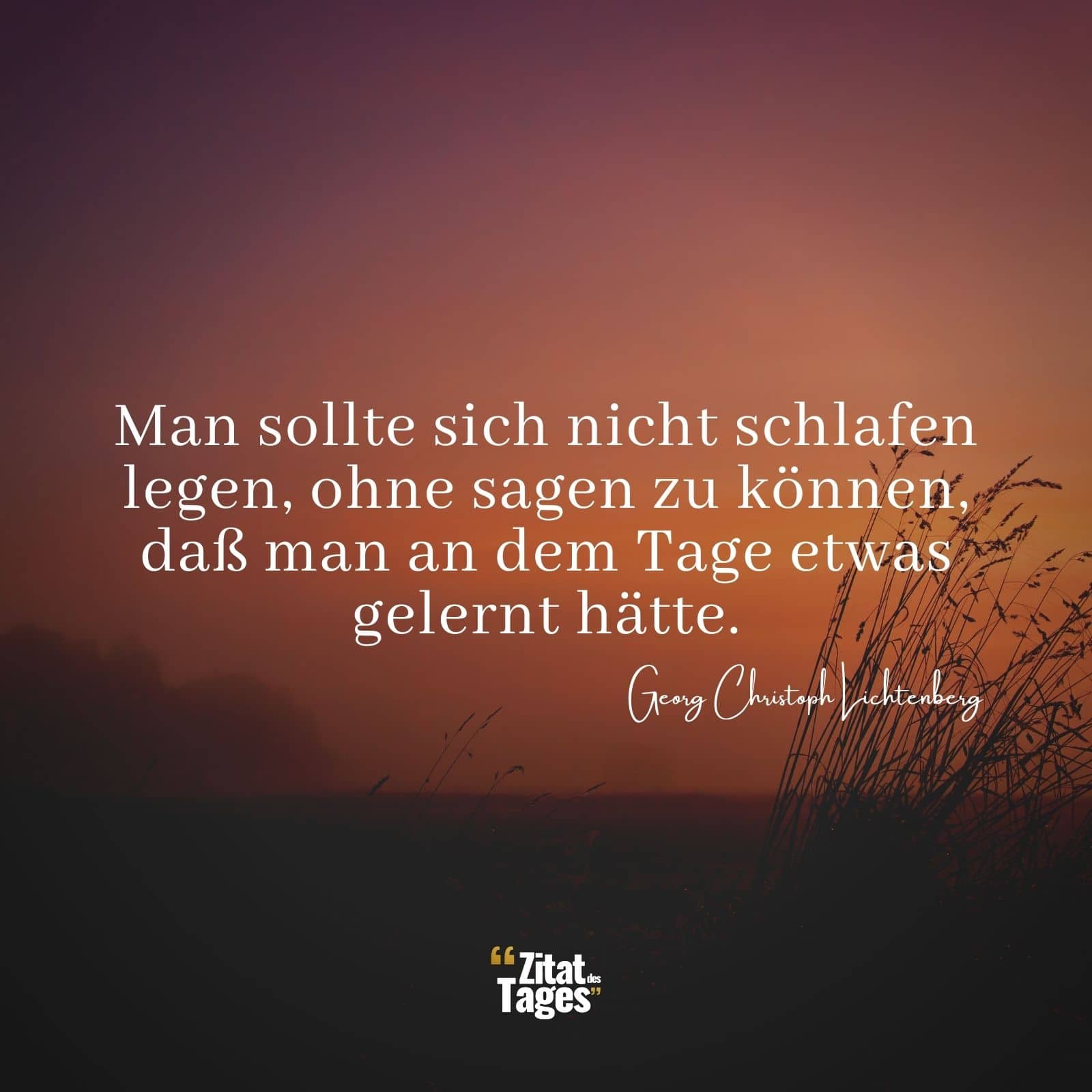 Man sollte sich nicht schlafen legen, ohne sagen zu können, daß man an dem Tage etwas gelernt hätte. - Georg Christoph Lichtenberg