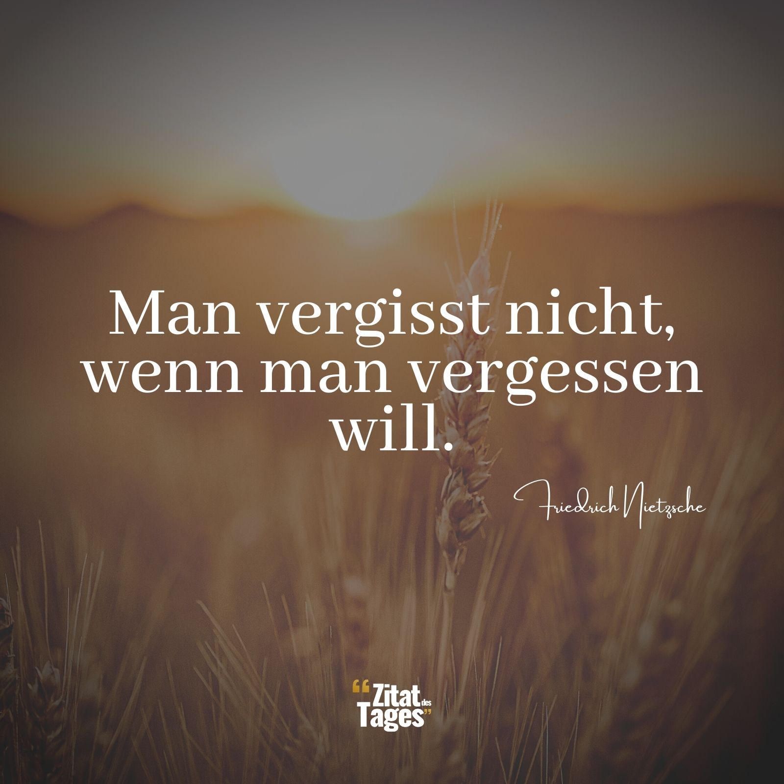 Man vergisst nicht, wenn man vergessen will. - Friedrich Nietzsche