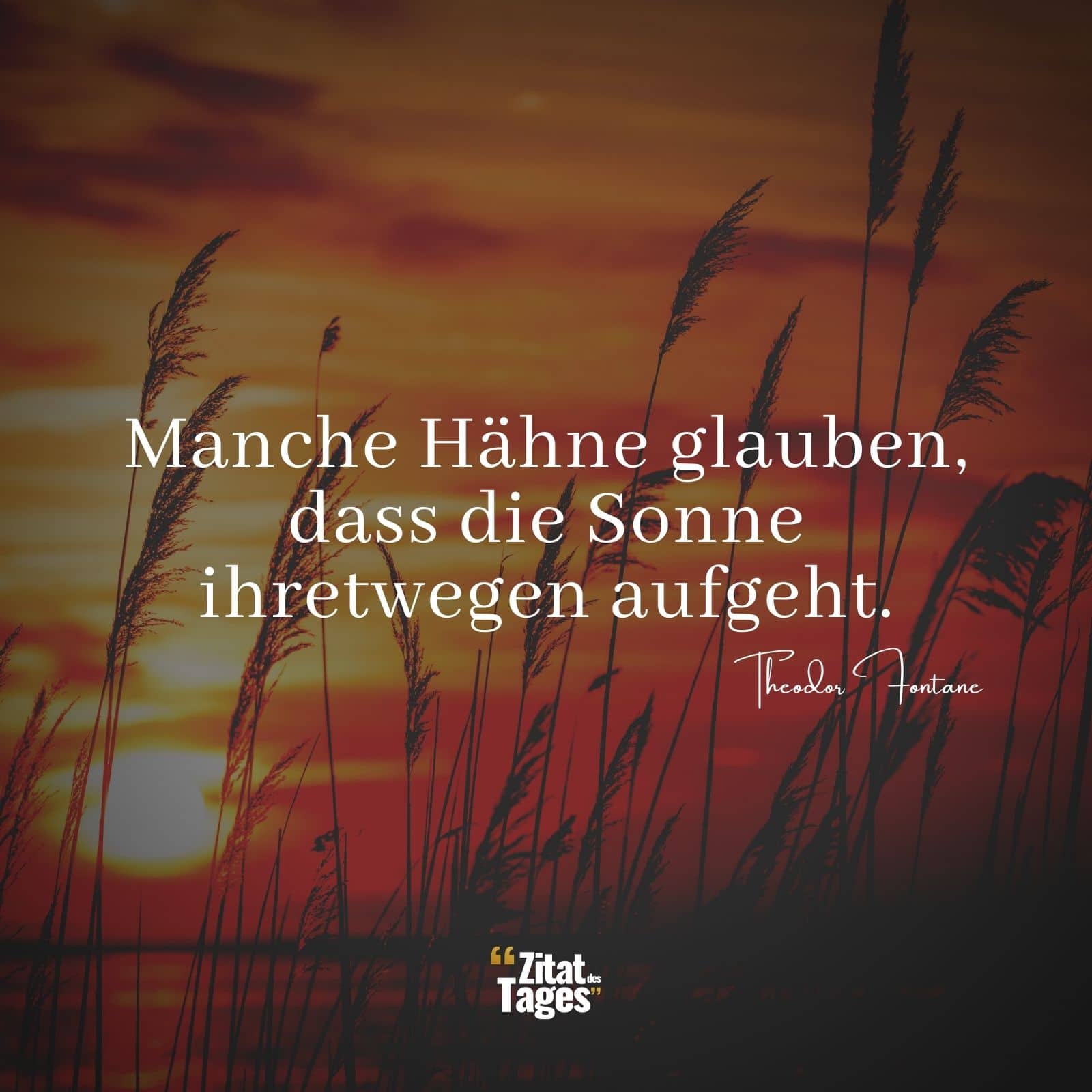 Manche Hähne glauben, dass die Sonne ihretwegen aufgeht. - Theodor Fontane