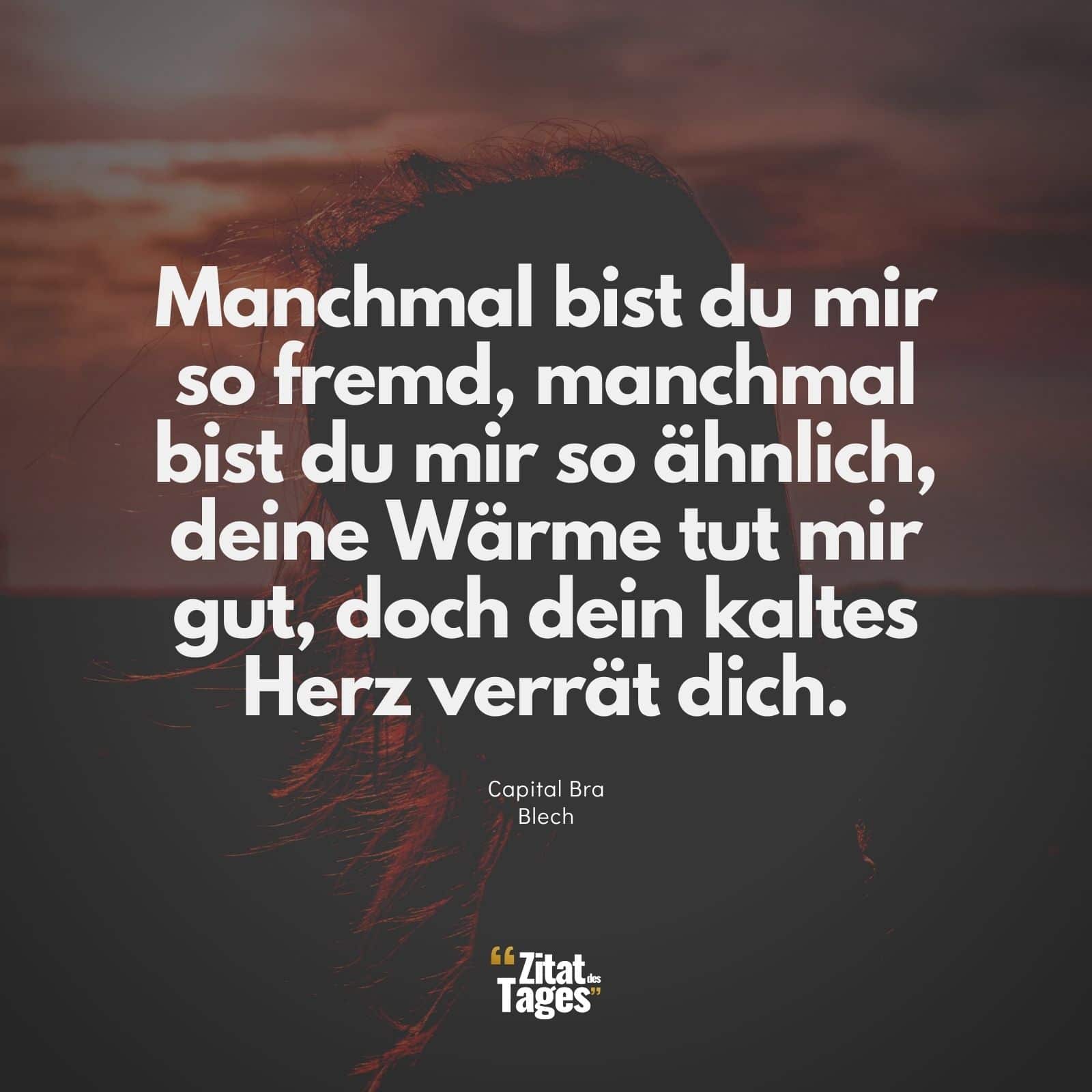 Manchmal bist du mir so fremd, manchmal bist du mir so ähnlich, deine Wärme tut mir gut, doch dein kaltes Herz verrät dich. - Capital Bra