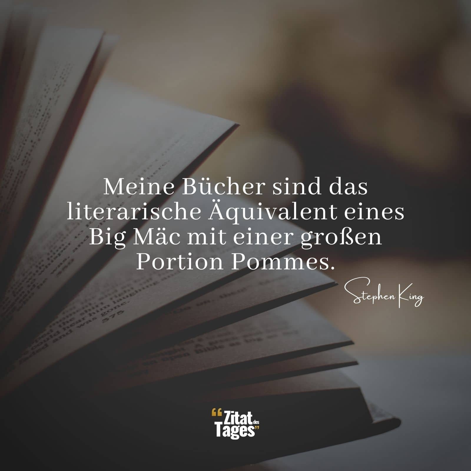 Meine Bücher sind das literarische Äquivalent eines Big Mäc mit einer großen Portion Pommes. - Stephen King