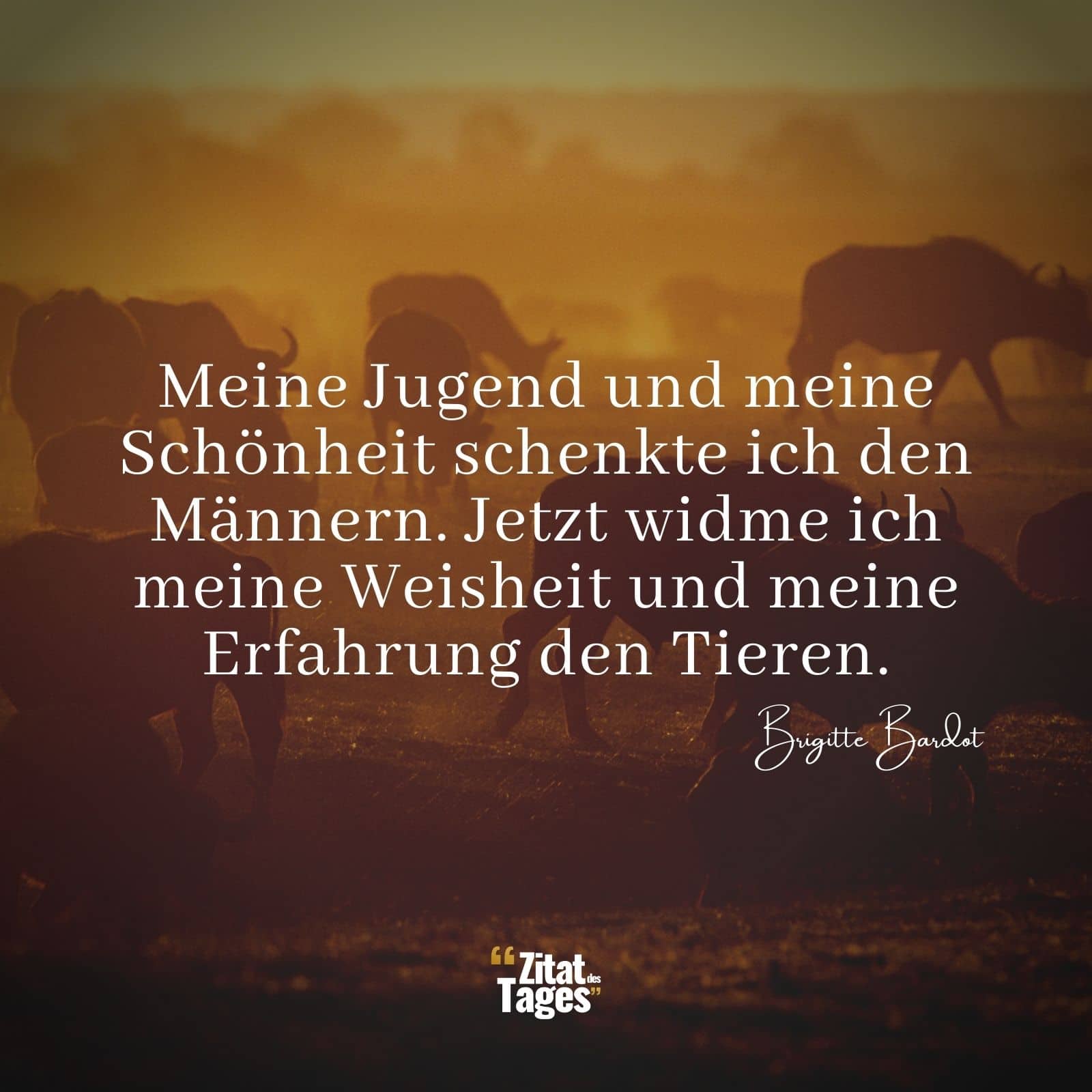 Meine Jugend und meine Schönheit schenkte ich den Männern. Jetzt widme ich meine Weisheit und meine Erfahrung den Tieren. - Brigitte Bardot