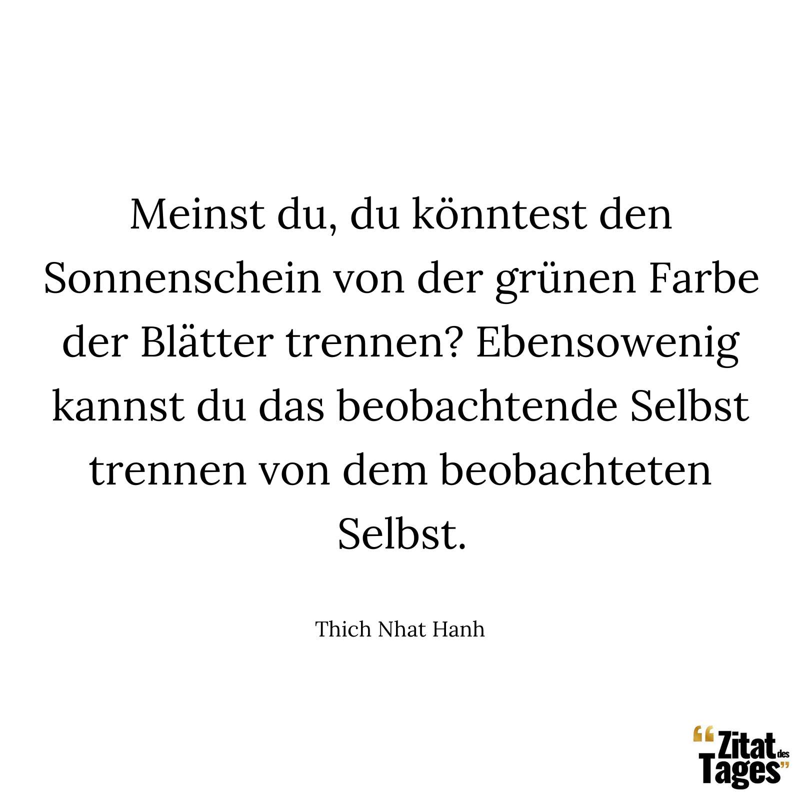 Meinst du, du könntest den Sonnenschein von der grünen Farbe der Blätter trennen? Ebensowenig kannst du das beobachtende Selbst trennen von dem beobachteten Selbst. - Thich Nhat Hanh