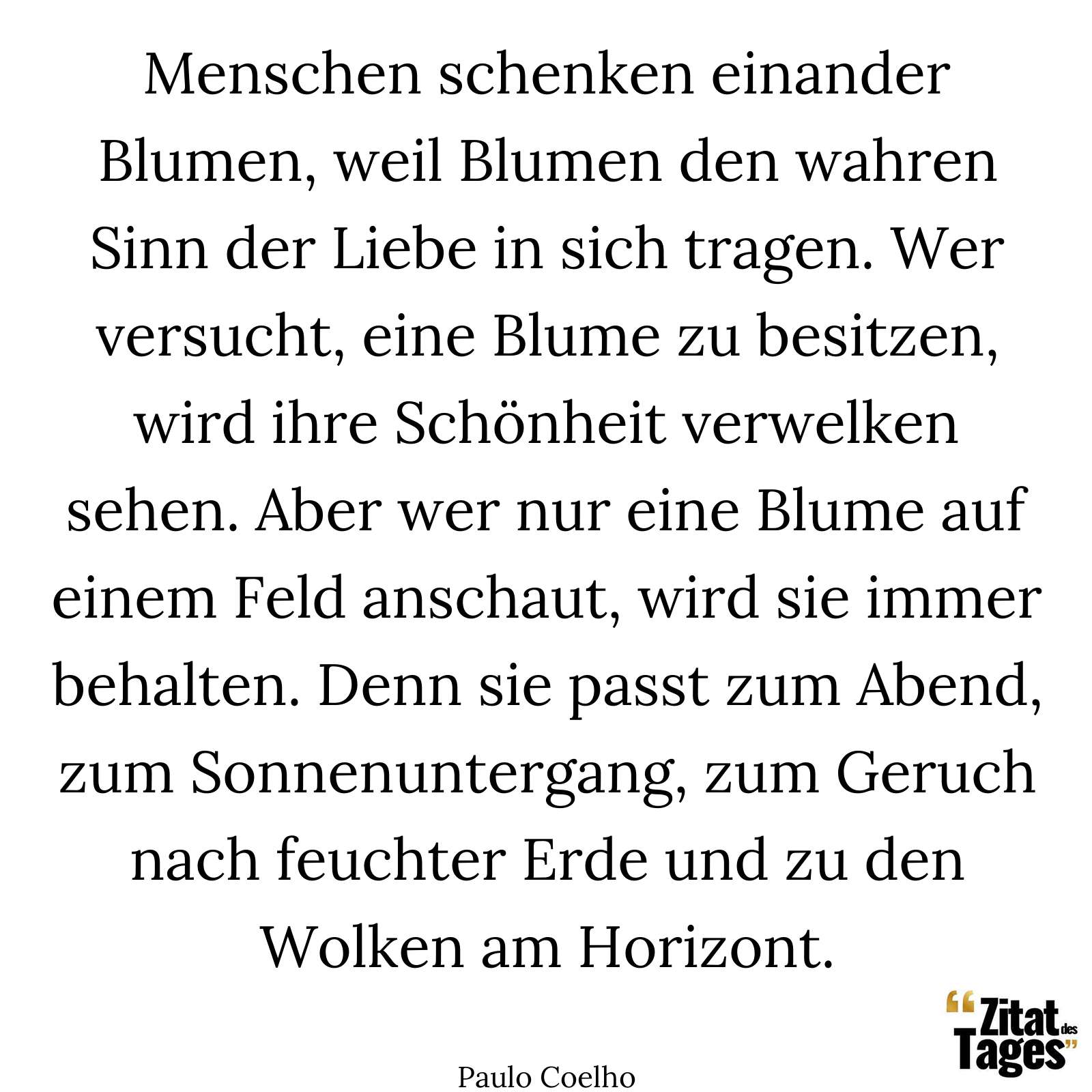 Menschen schenken einander Blumen, weil Blumen den wahren Sinn der Liebe in sich tragen. Wer versucht, eine Blume zu besitzen, wird ihre Schönheit verwelken sehen. Aber wer nur eine Blume auf einem Feld anschaut, wird sie immer behalten. Denn sie passt zum Abend, zum Sonnenuntergang, zum Geruch nach feuchter Erde und zu den Wolken am Horizont. - Paulo Coelho